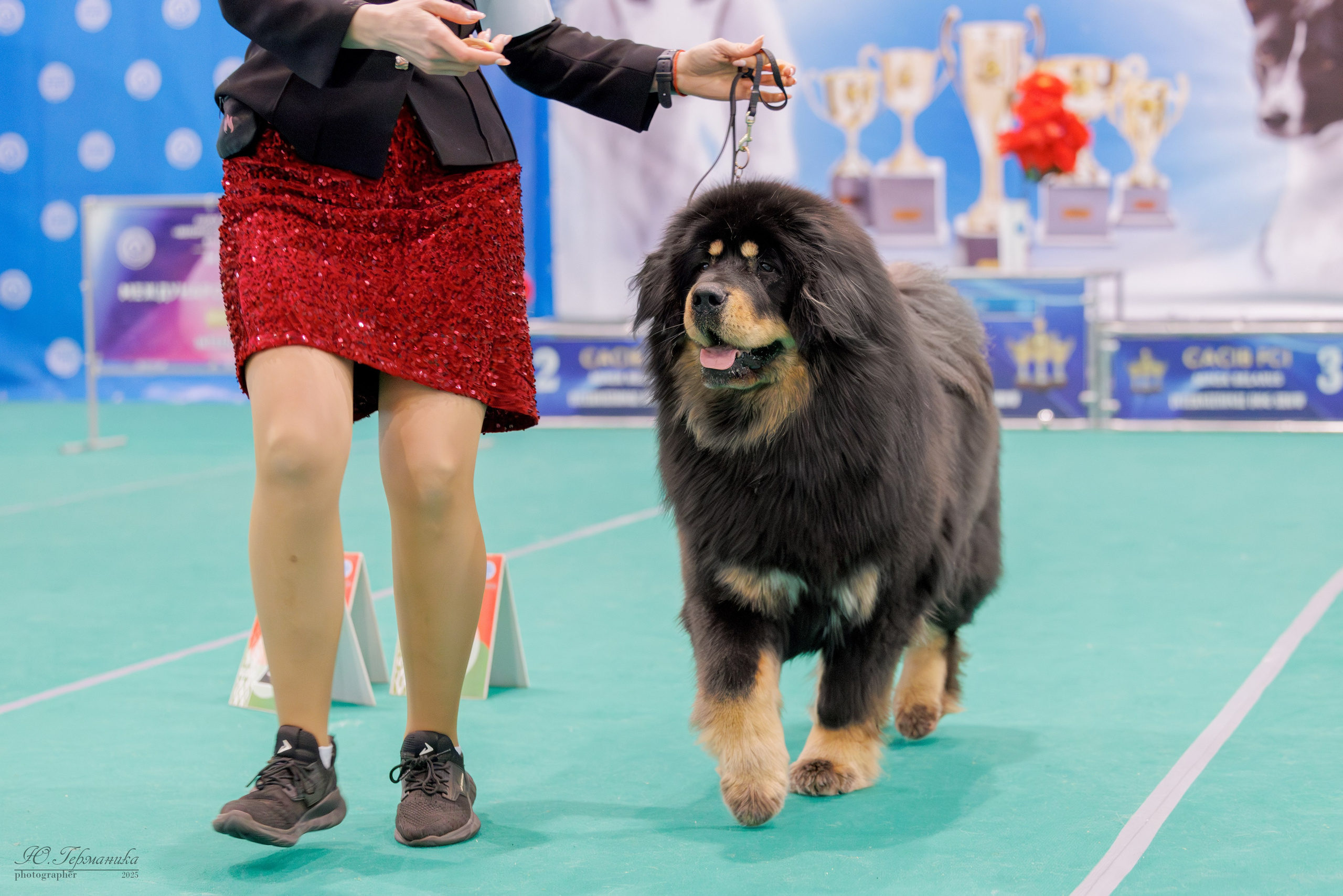 Минск 1-2.03.2025. Фотограф-анималист Юлия Германика