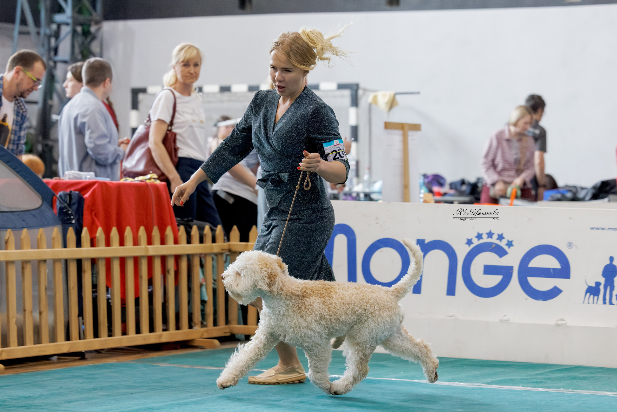 Ереван 2х CACIB 29-30.04.2025. Фотограф-анималист Юлия Германика