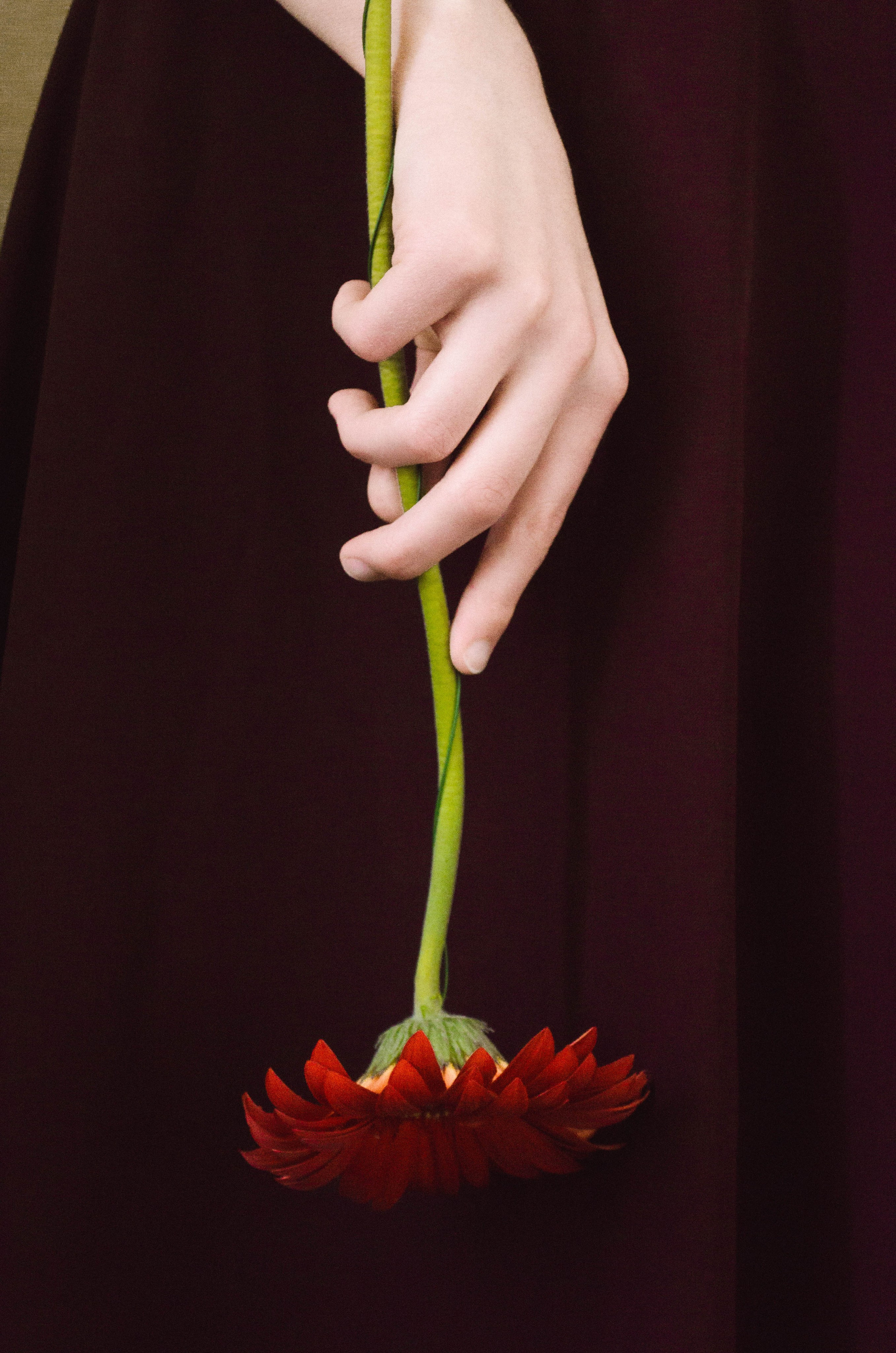 Лиза. Фотограф Валерия Пэун