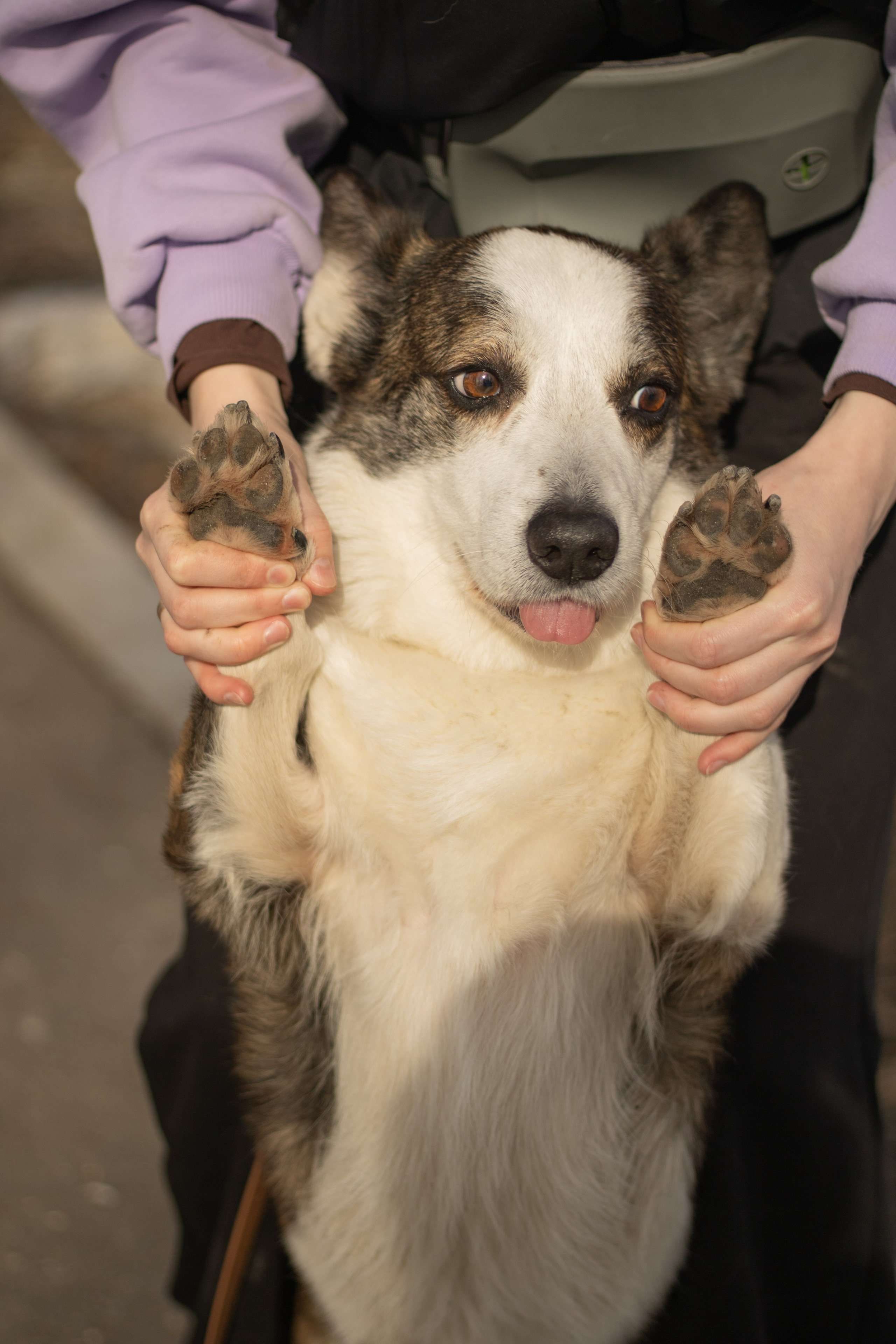 Юлия и Тэя. Катя Попова|ЛайфСтайл фотограф
