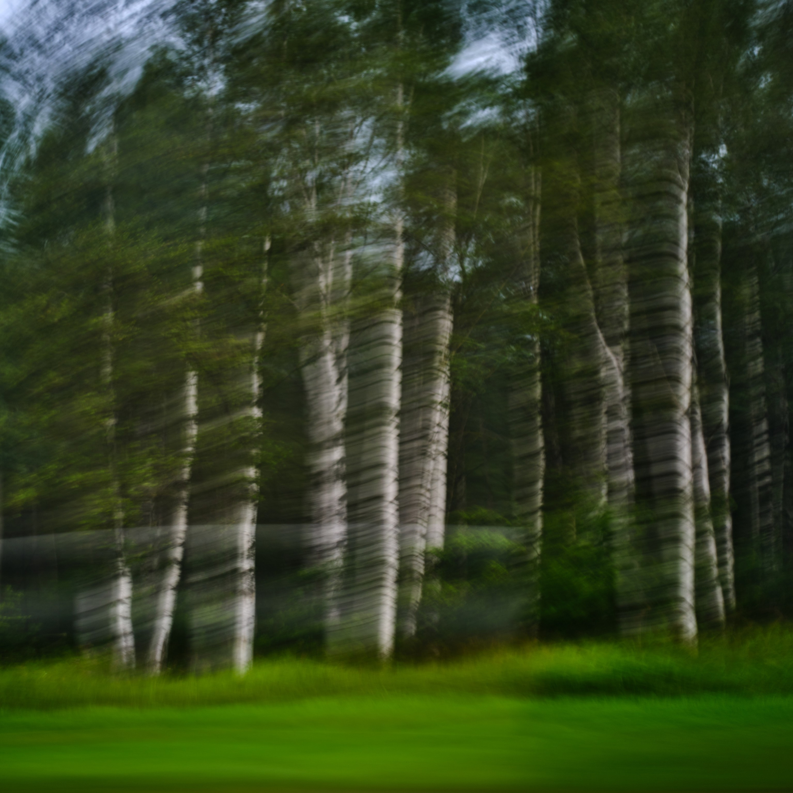 Фотограф Юлия Глазкова