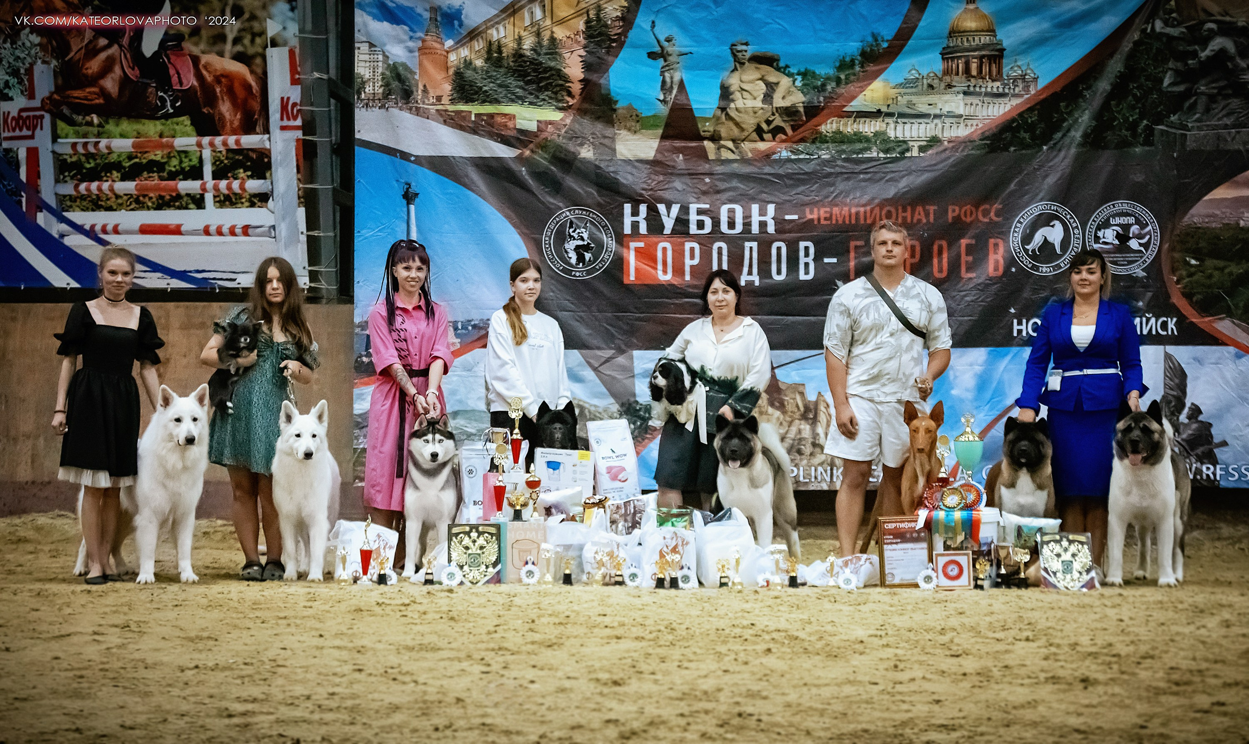 Выставки и победы наших  собак. Питомник собак Акита, Хаски, Корги