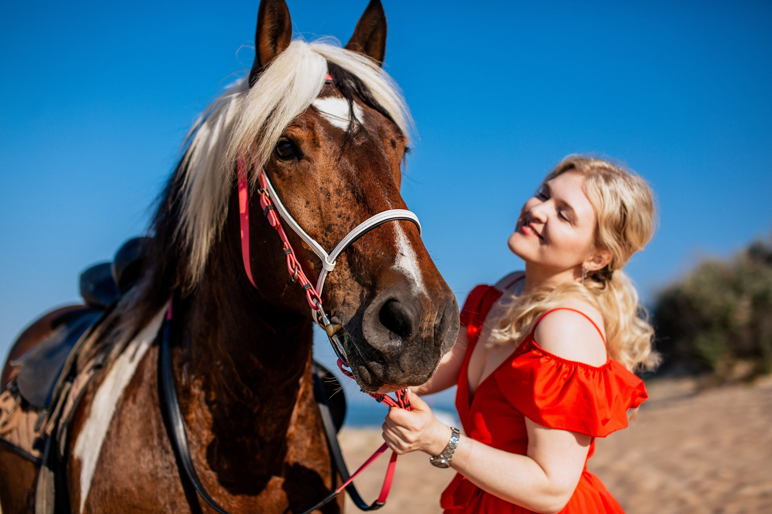 Романтичная фотосессия на лошадях в дюнах Джемете