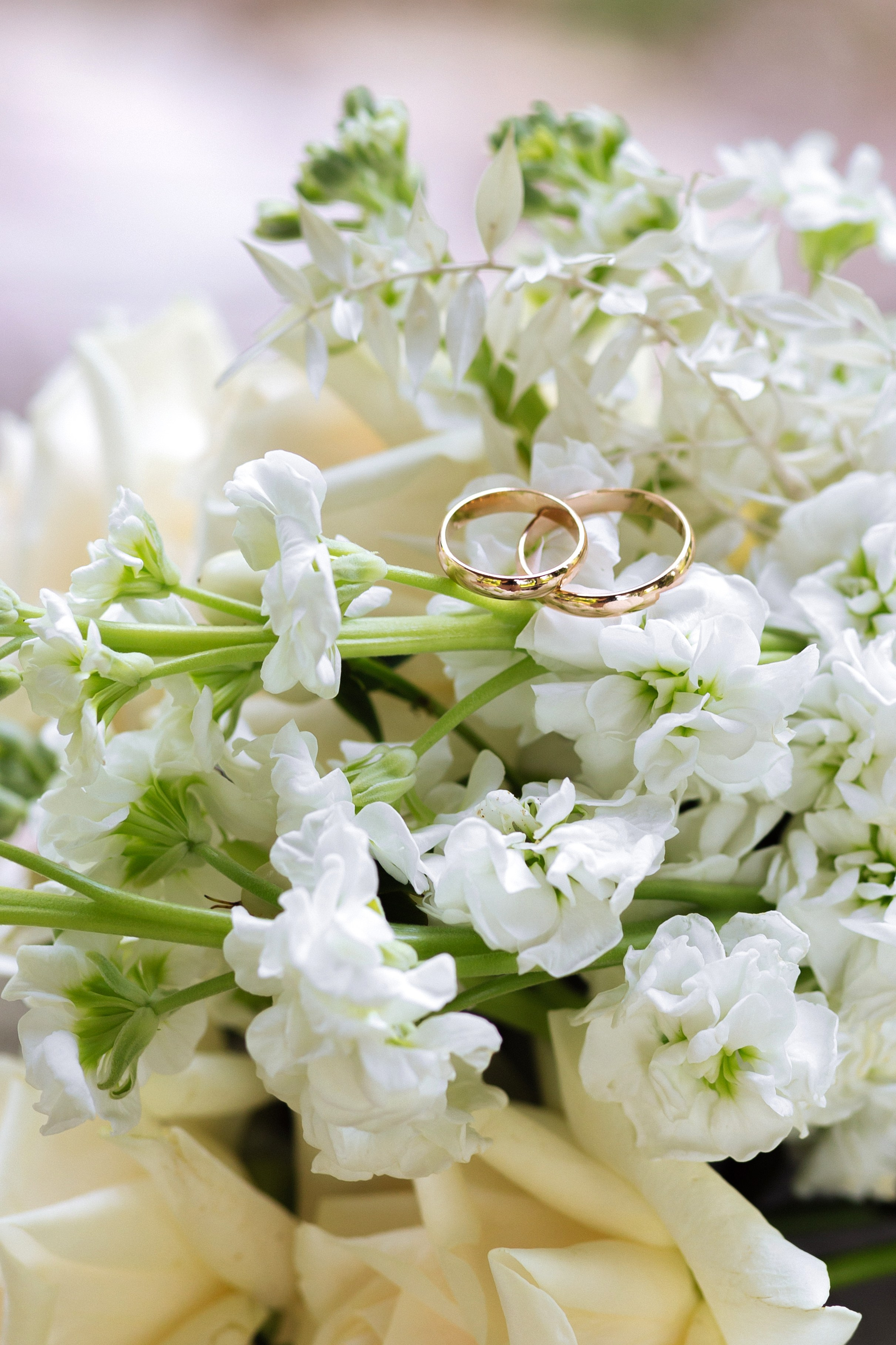 Анастасия и Михаил — прогулка по Домотканово. Фотограф в Твери Helga J. Fox