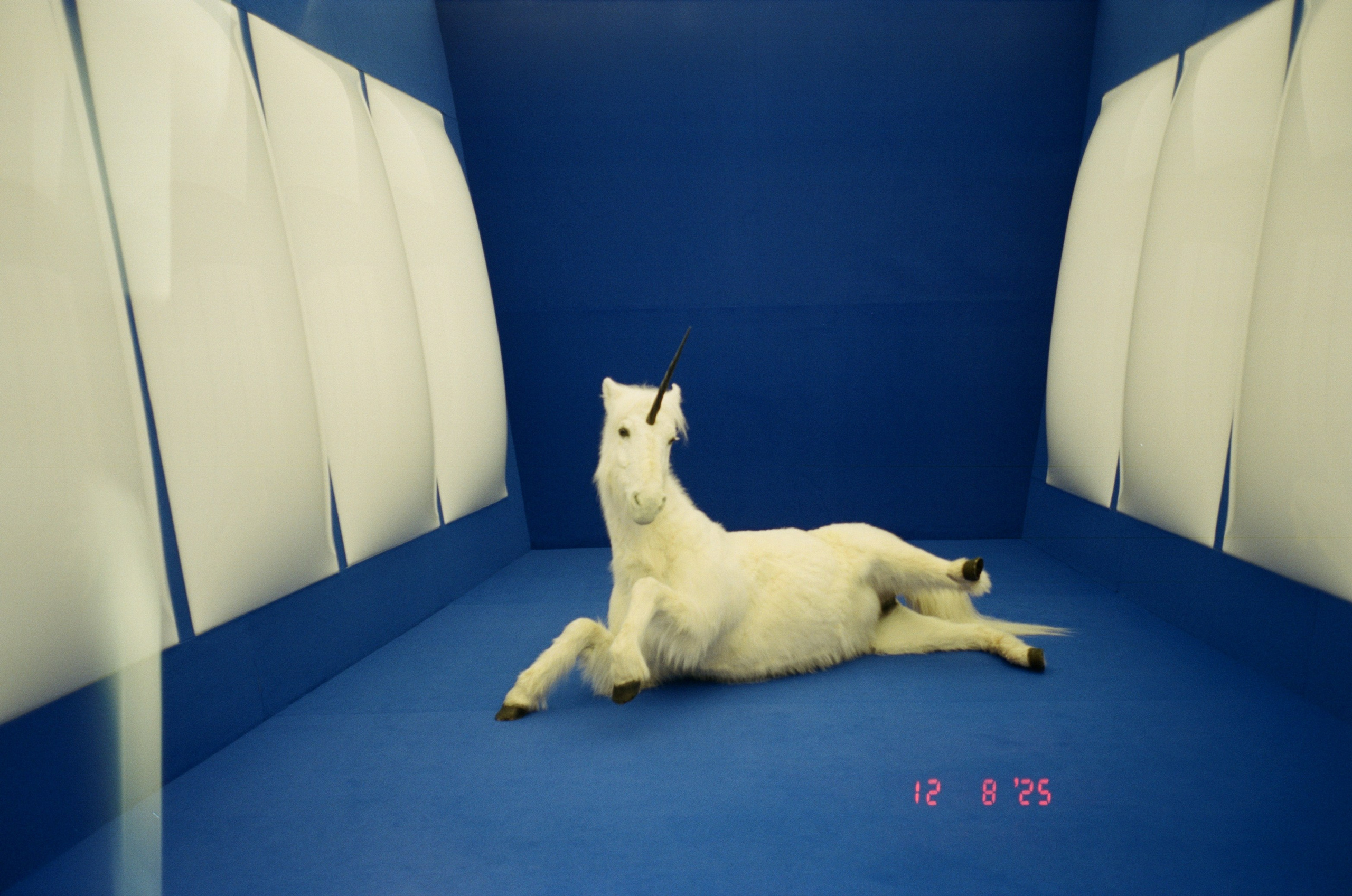 Oslo. Regina Platonova