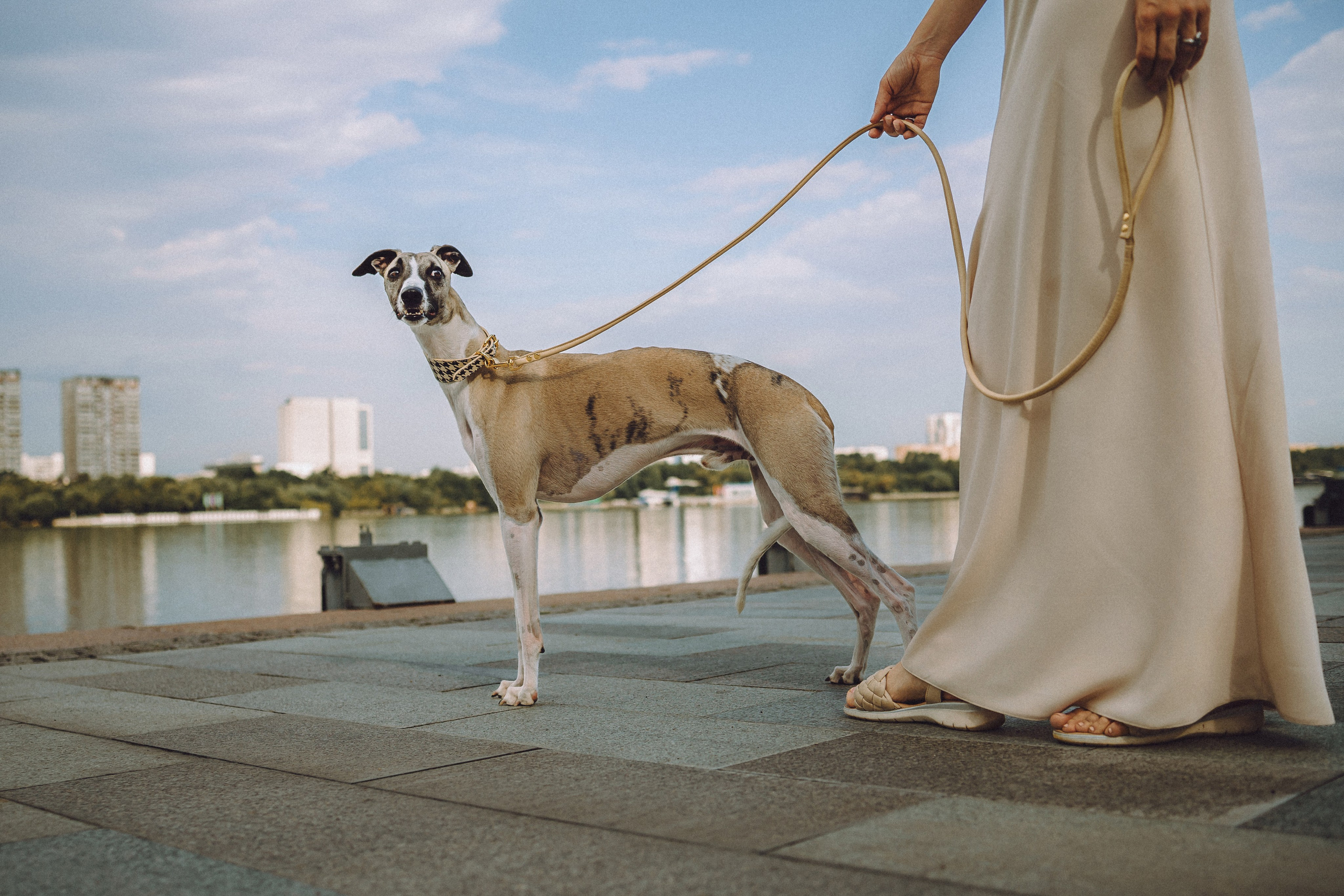 Ирина, Илья и Рик