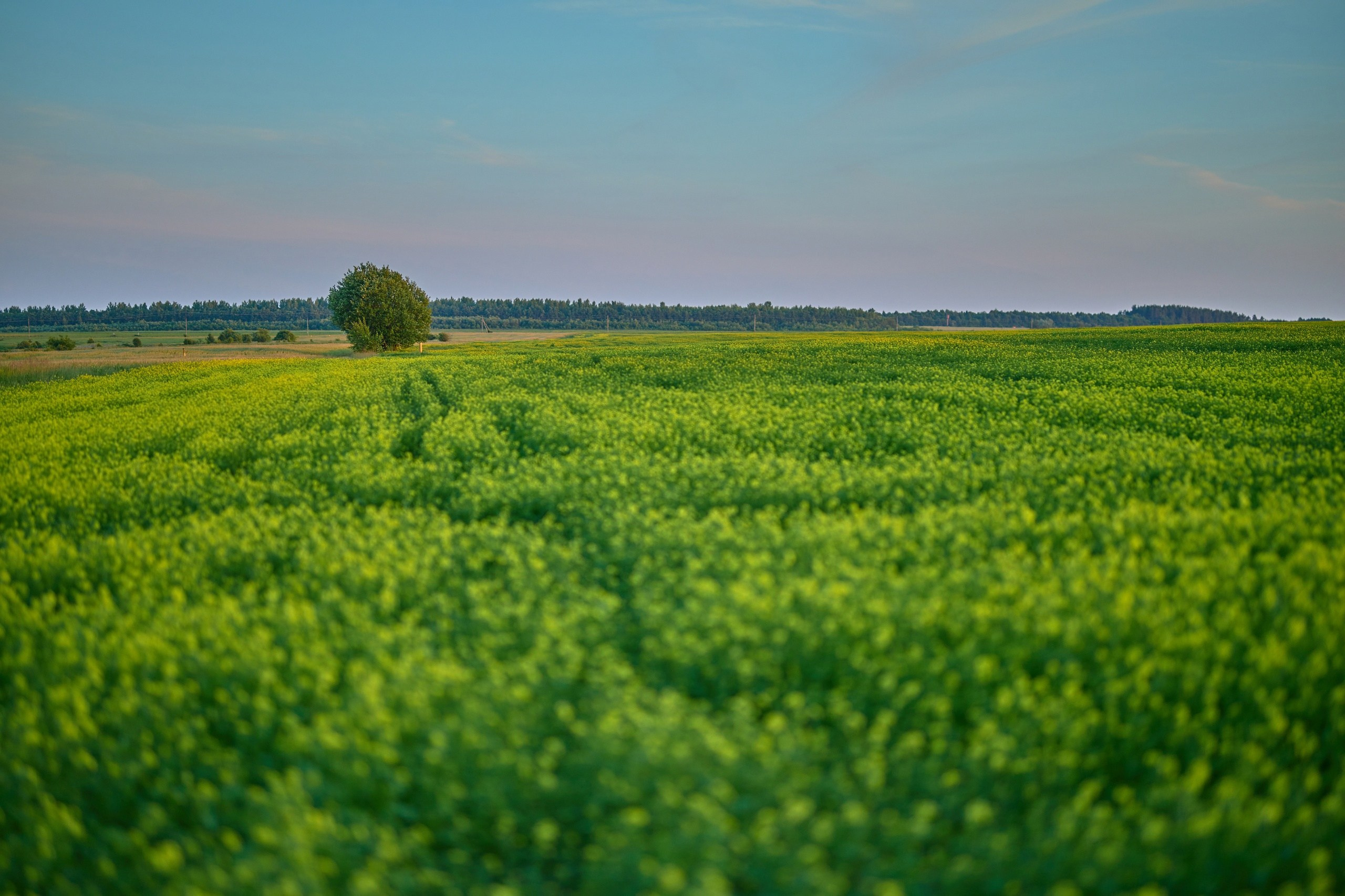 Пейзажная фотосъемка. Владимир Суздалов (ProMaXe) — Портретный фотограф, тематические фотосессии в Чебоксарах