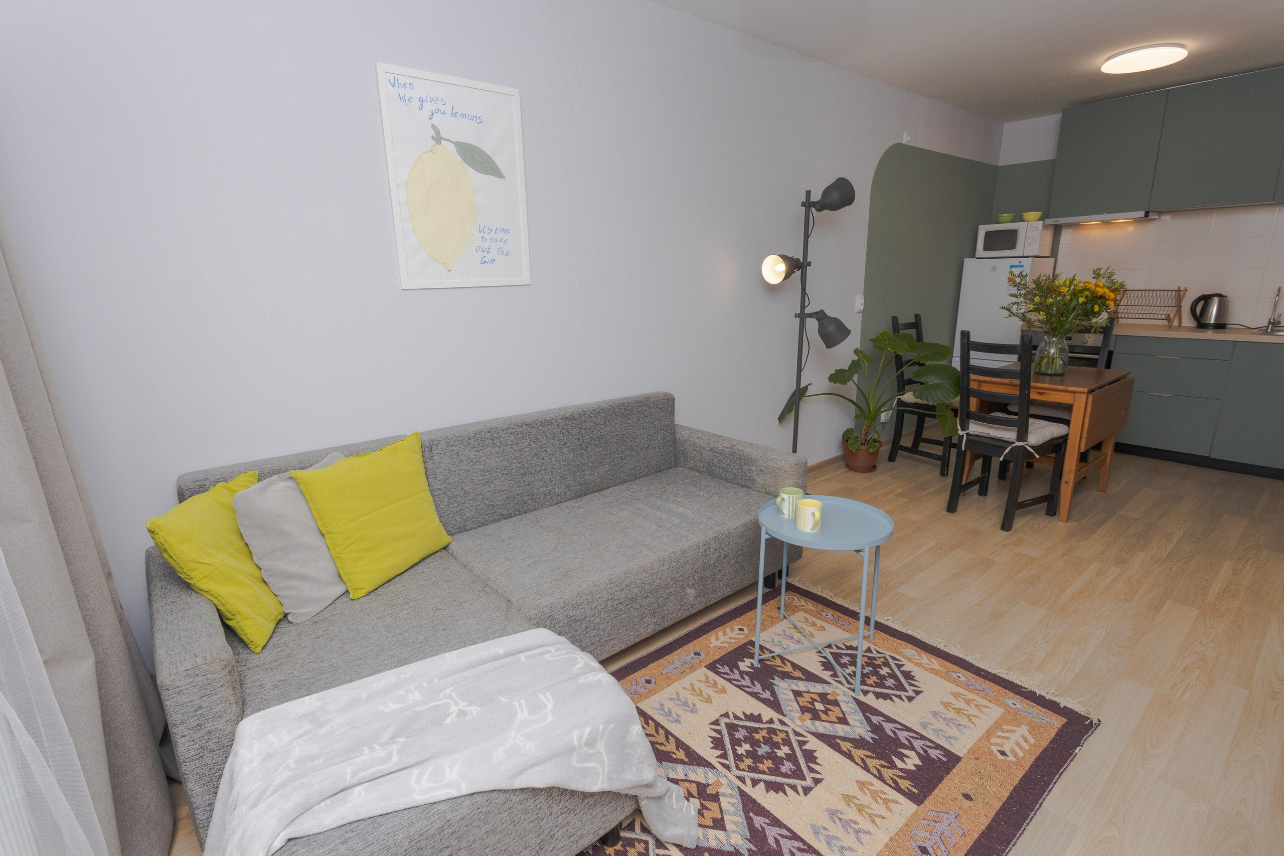 Однокомнатная с кухней гостиной. Фотограф Наталья Кинель. Екатеринбург