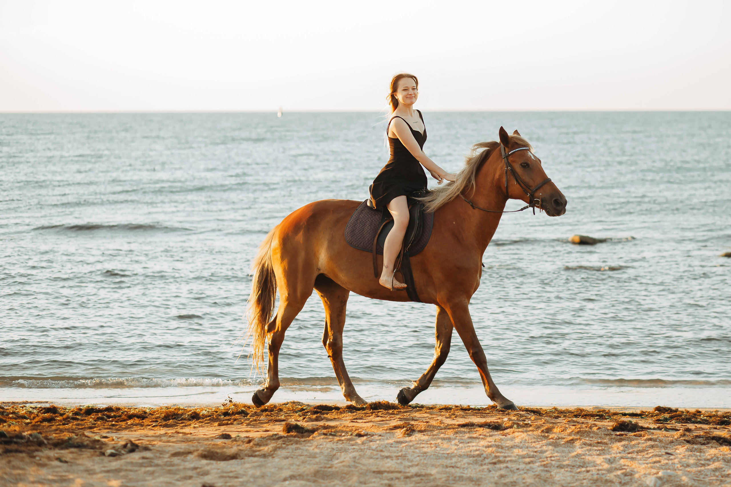 Фотосессия на море с лошадью. Фотограф в Феодосии Наталья Булгакова