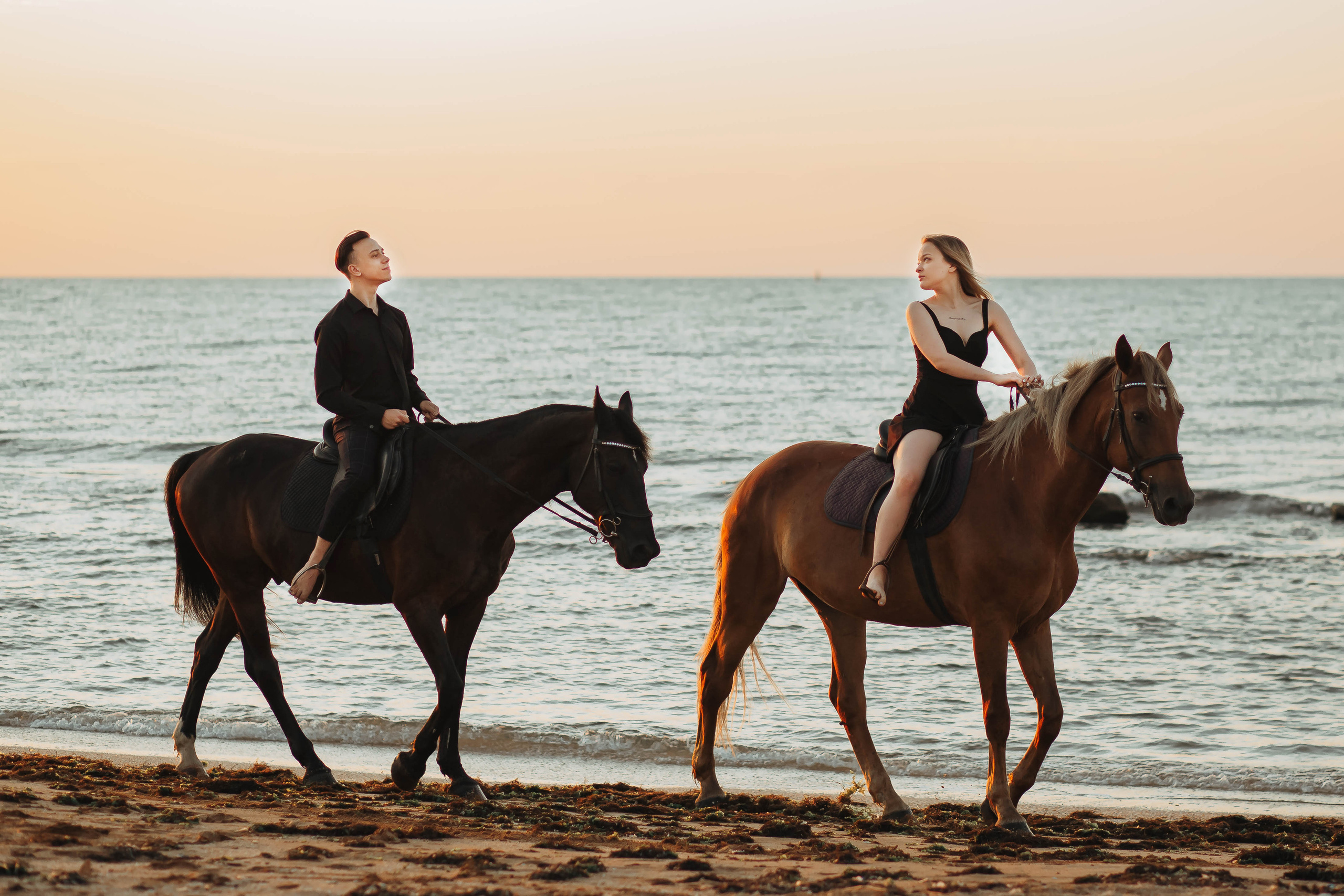 Фотосессия на море с лошадью. Фотограф в Феодосии Наталья Булгакова