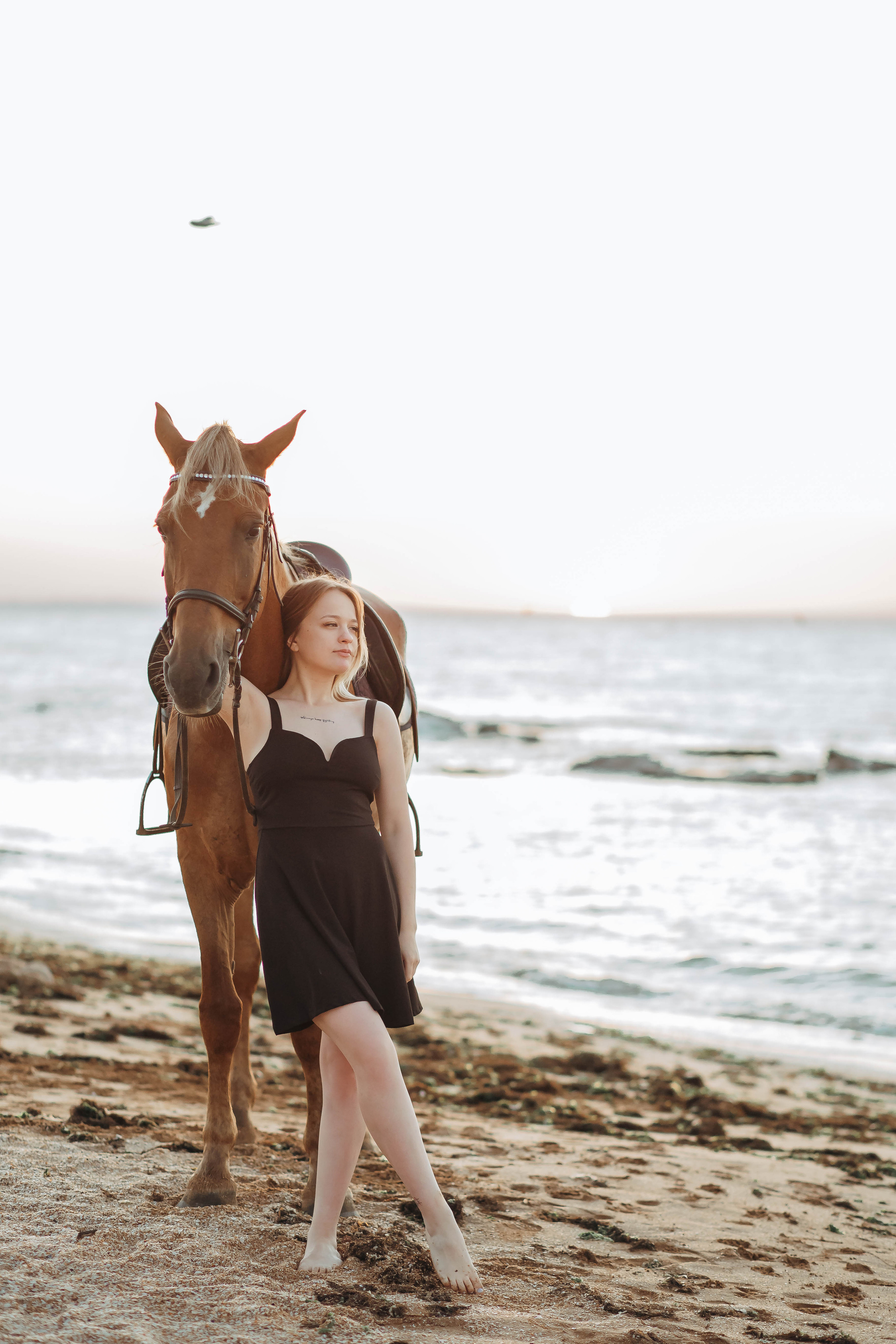Фотосессия на море с лошадью. Фотограф в Феодосии Наталья Булгакова