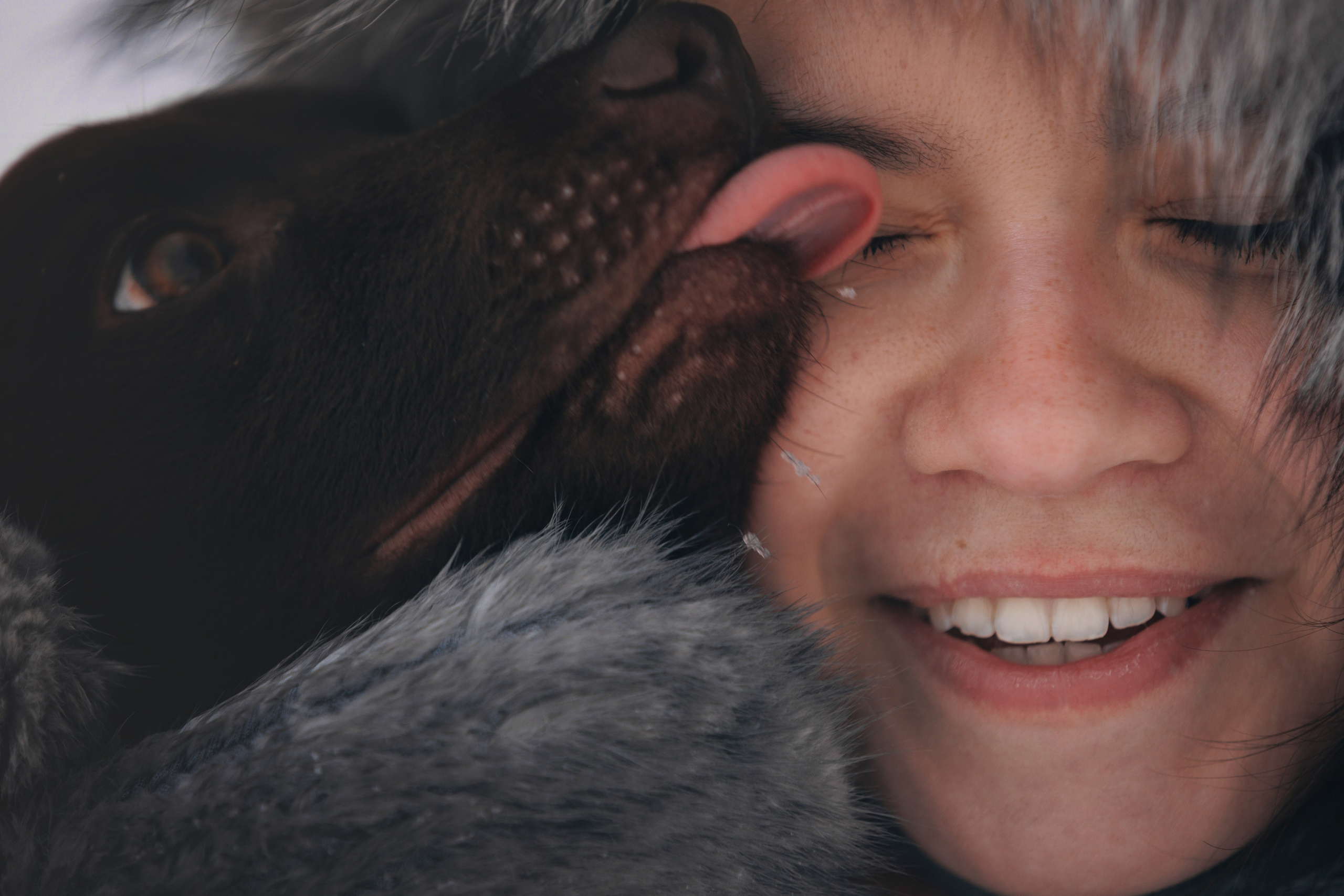 Соня и Персей в Нескучном саду. Фотограф анималист Кристина Карпова, Москва