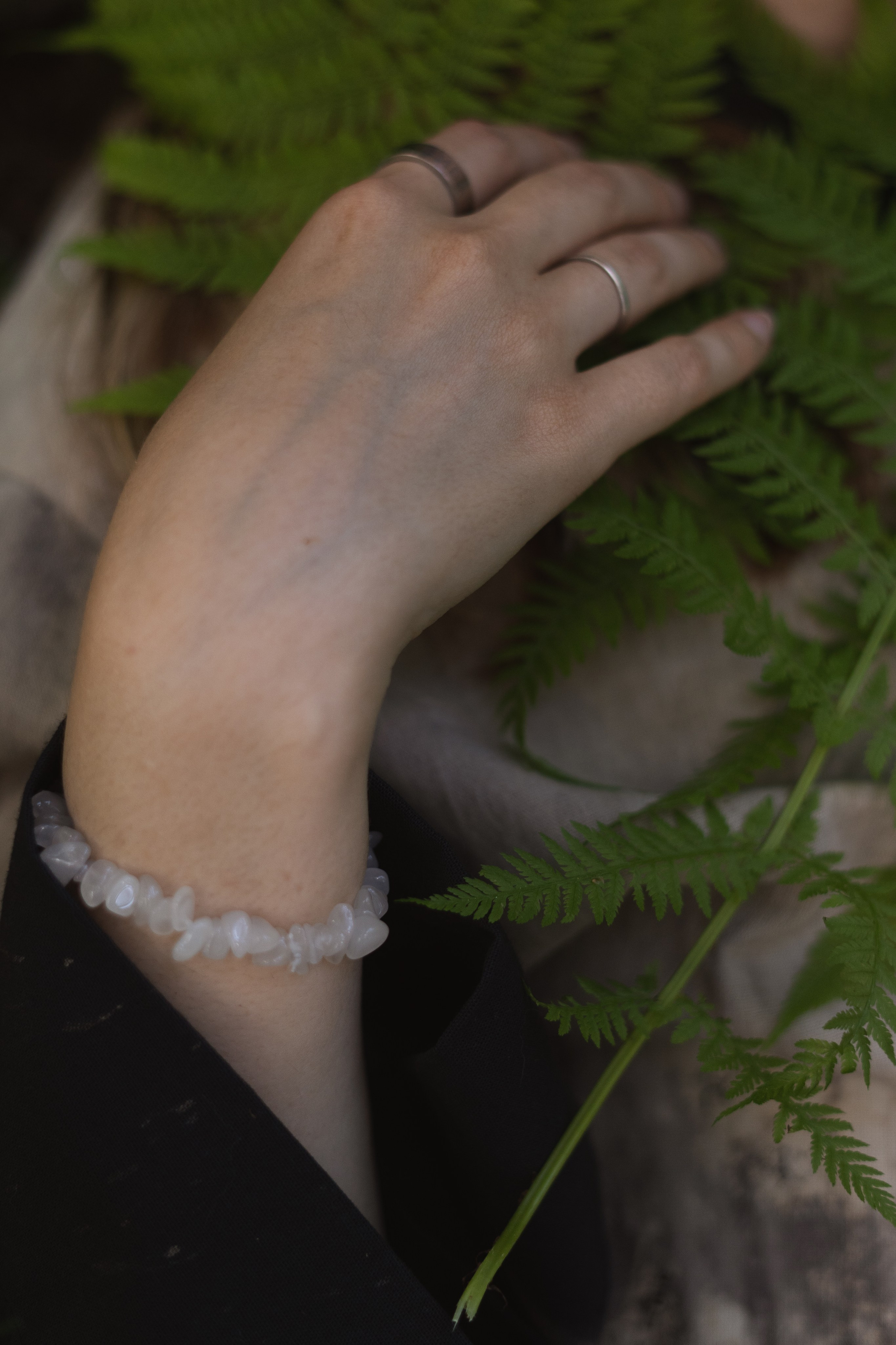 Природа (София). Фотограф Ирина Иванова