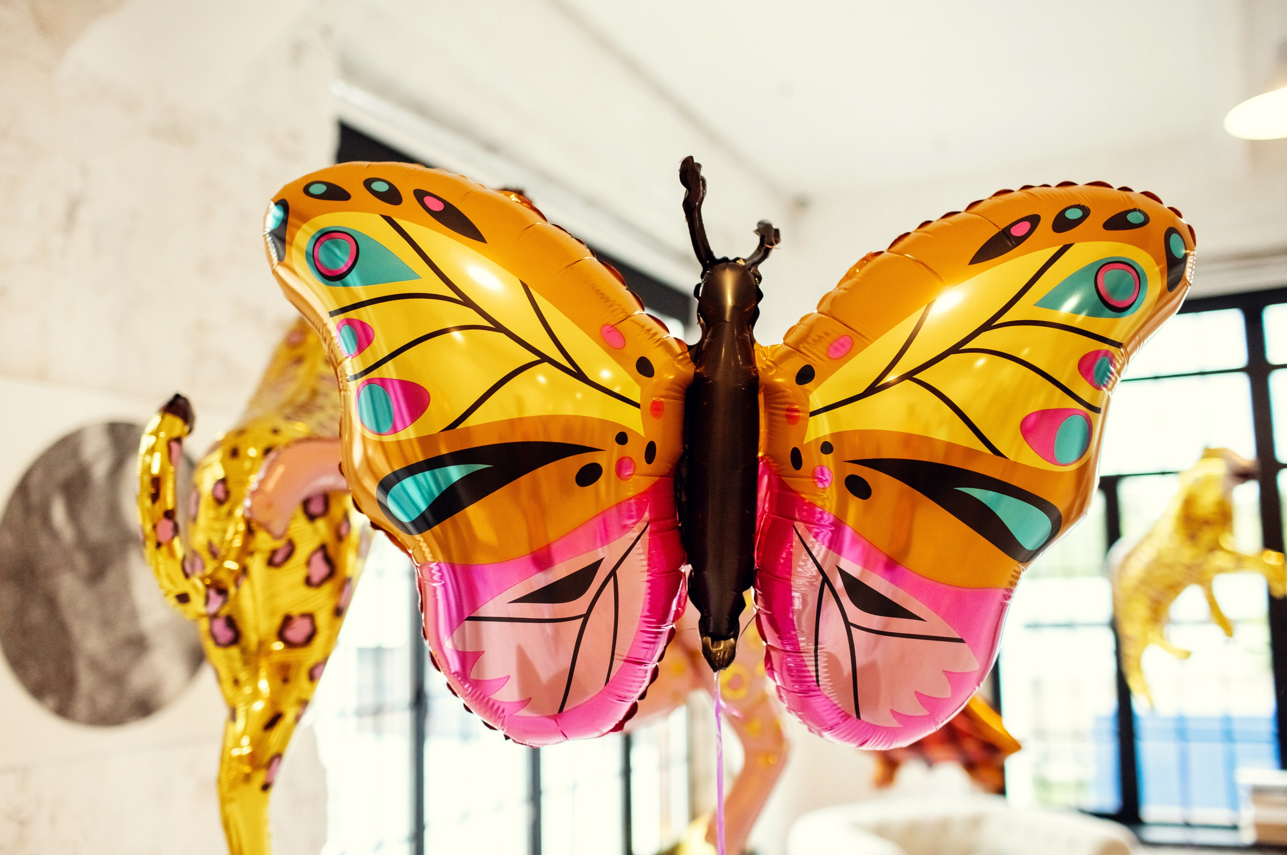 Элине 5 лет. Детский и семейный фотограф в Москве Анна Ипатьева