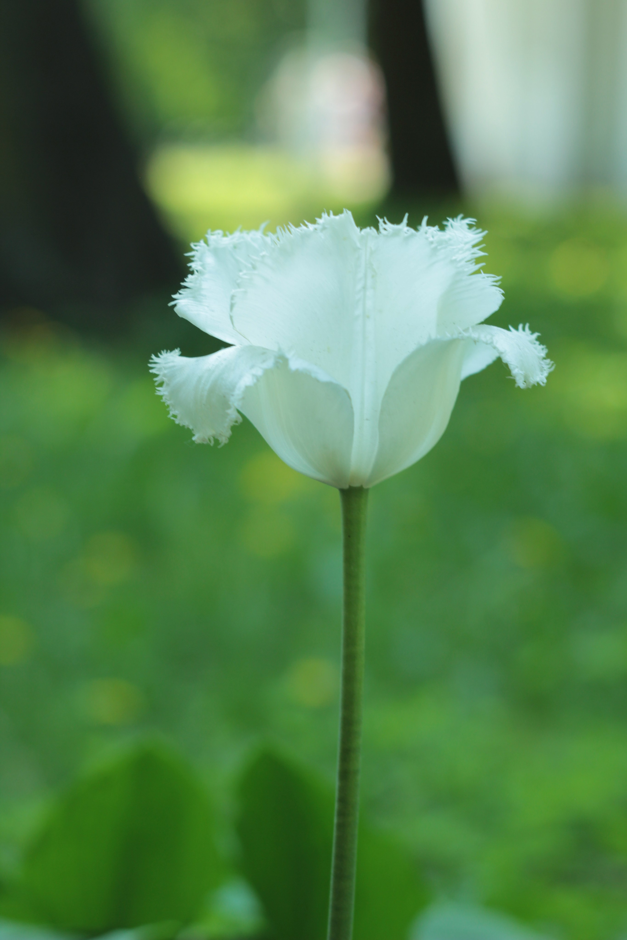 Вне студии. Фотограф Светлана Заплатина