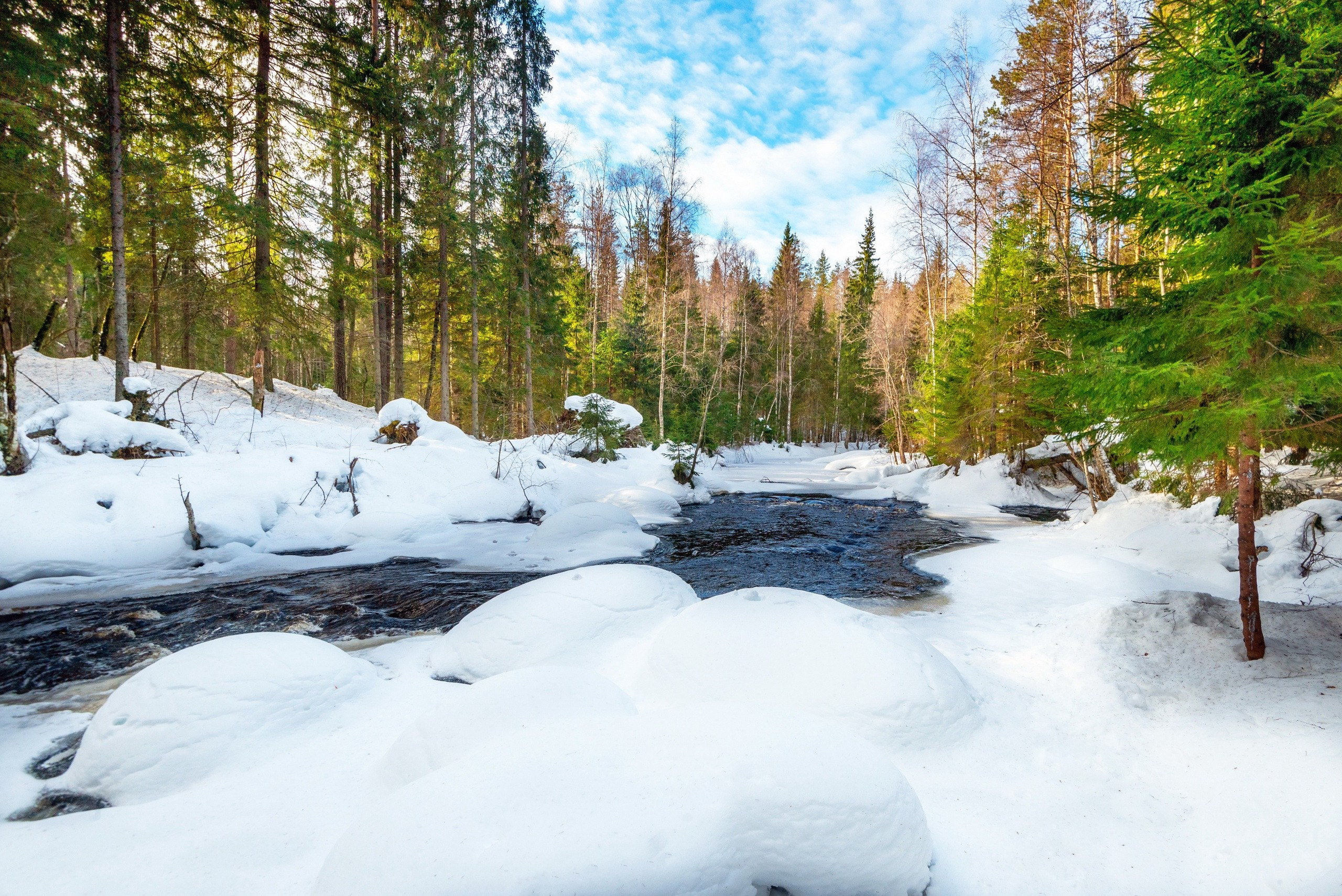 Творческие съёмки. Профессиональный фотограф Евгений Расторгуев