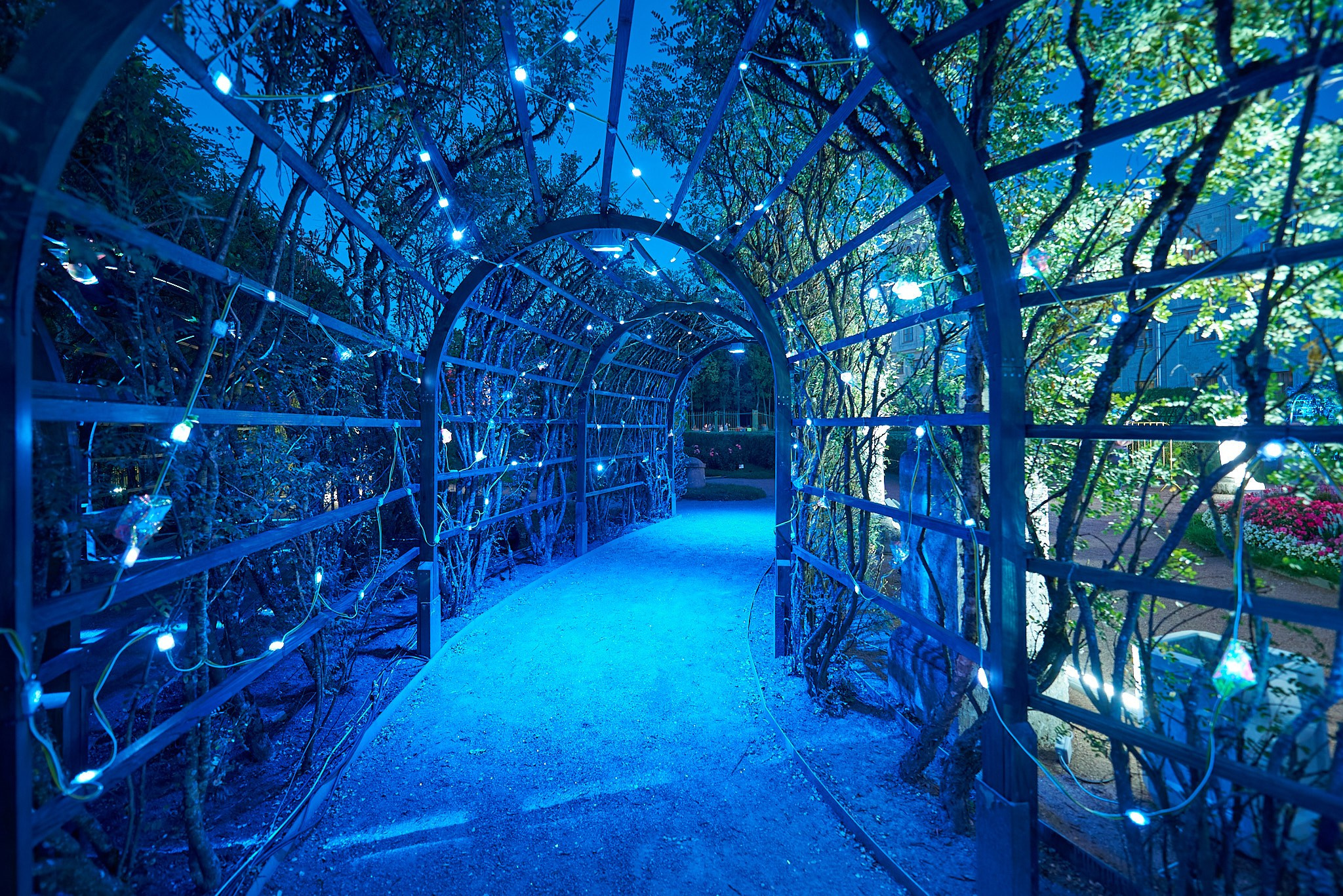 Ночь света 2023 гатчина. Иван Ступа, репортажный фотограф в Санкт-Петербурге и Ленинградской области