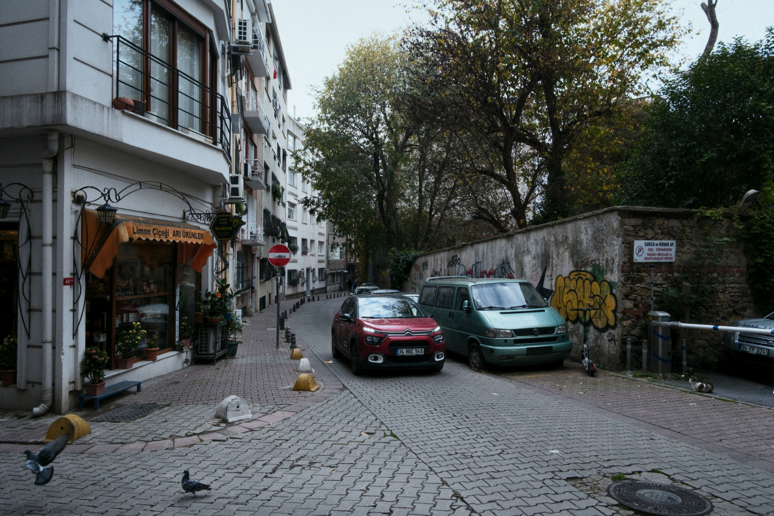 Kadikoy x Moda, Istanbul / Türkey AW25. Фотограф Юрин Евгений
