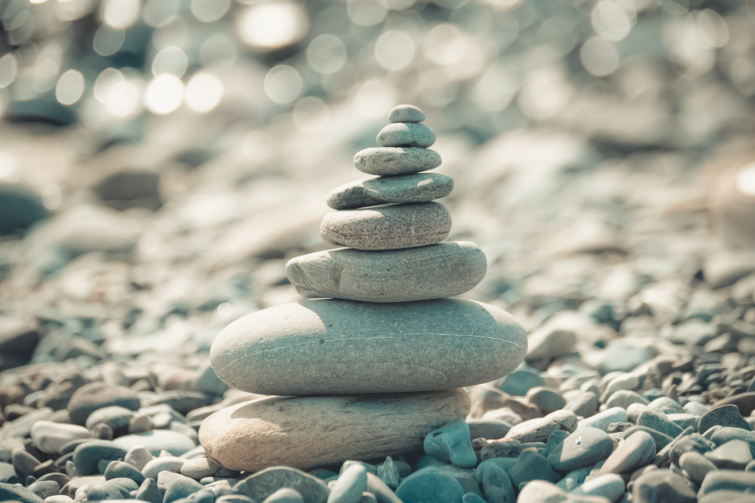 Арх Сочи '25. Место {не}банальных фото