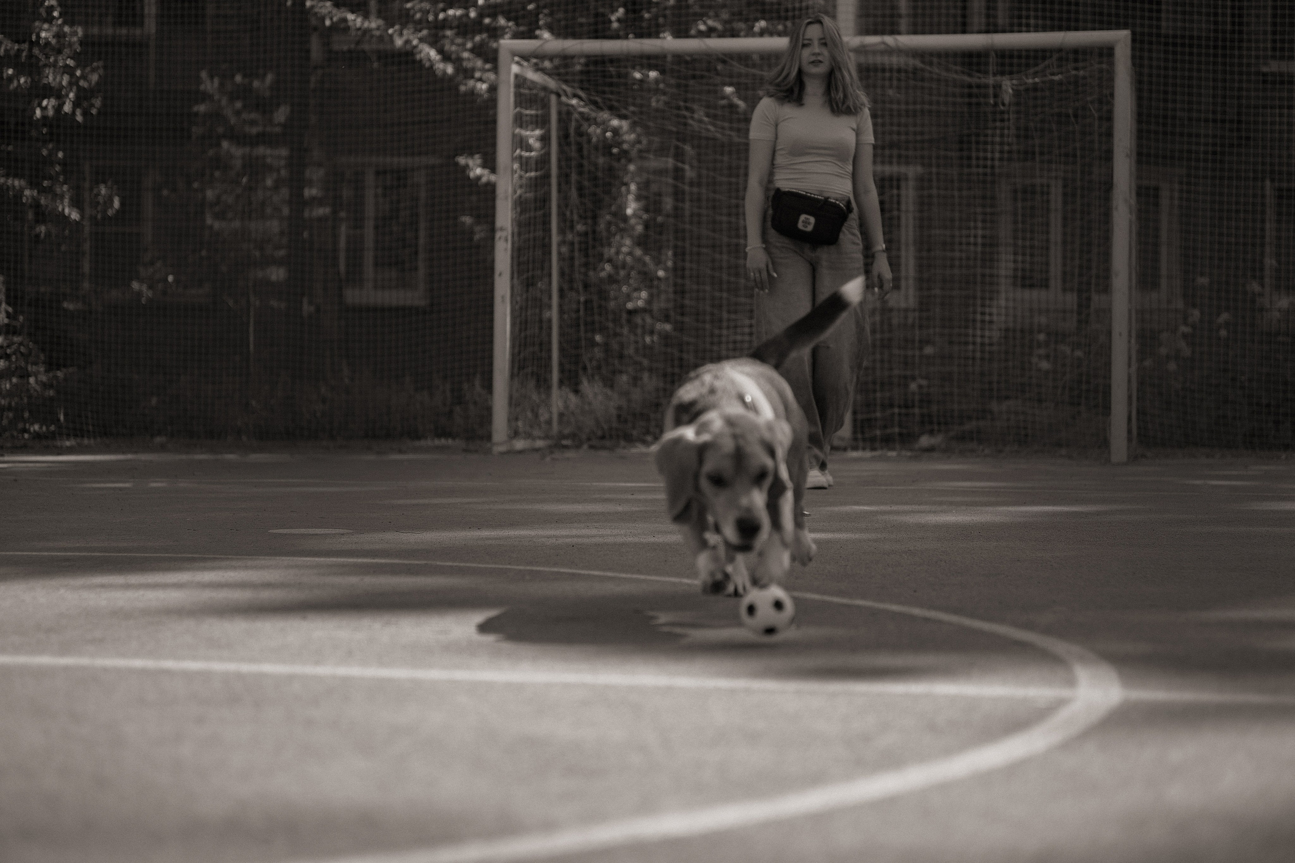 Оуджи и Катя. Фотограф — анималист •love-story•|Санкт-Петербург