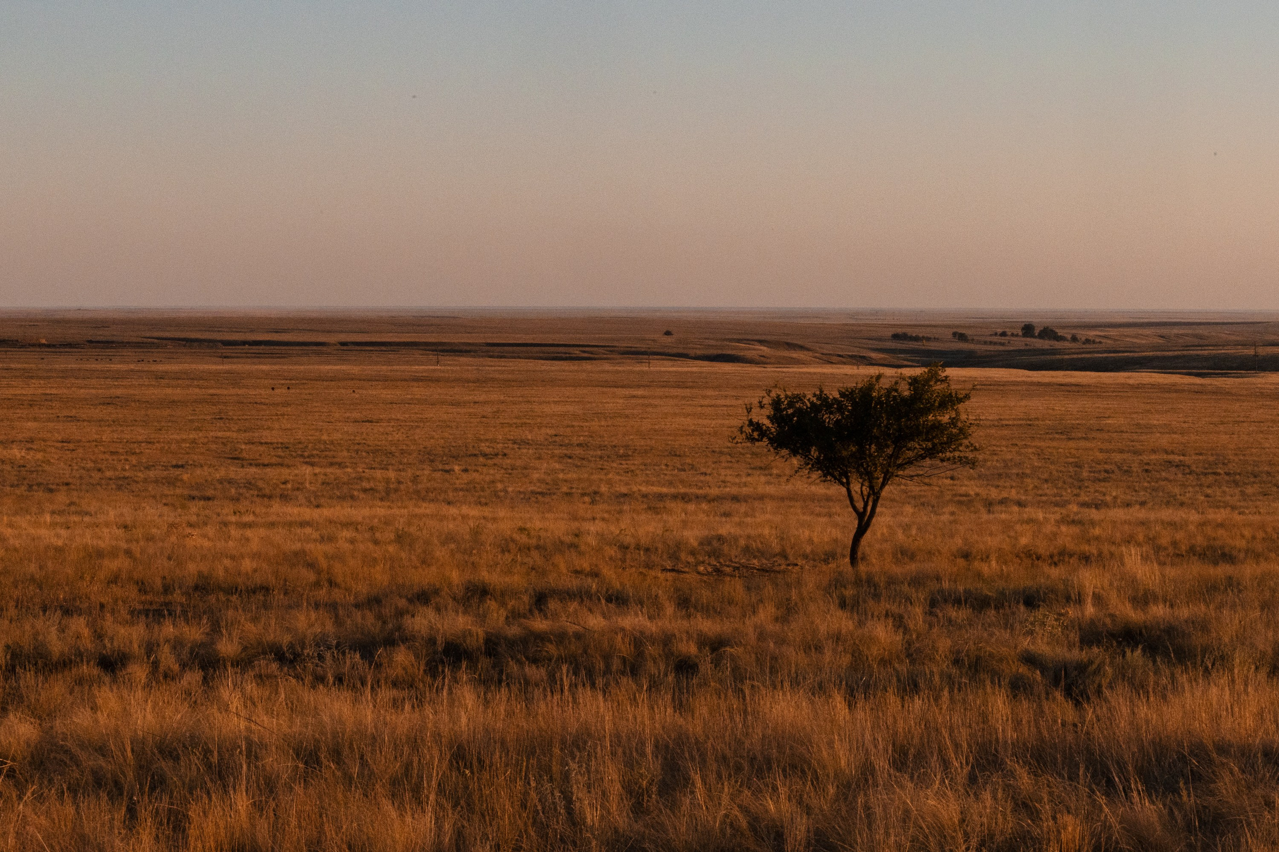 Элиста. Фотограф Владимир Охрименко