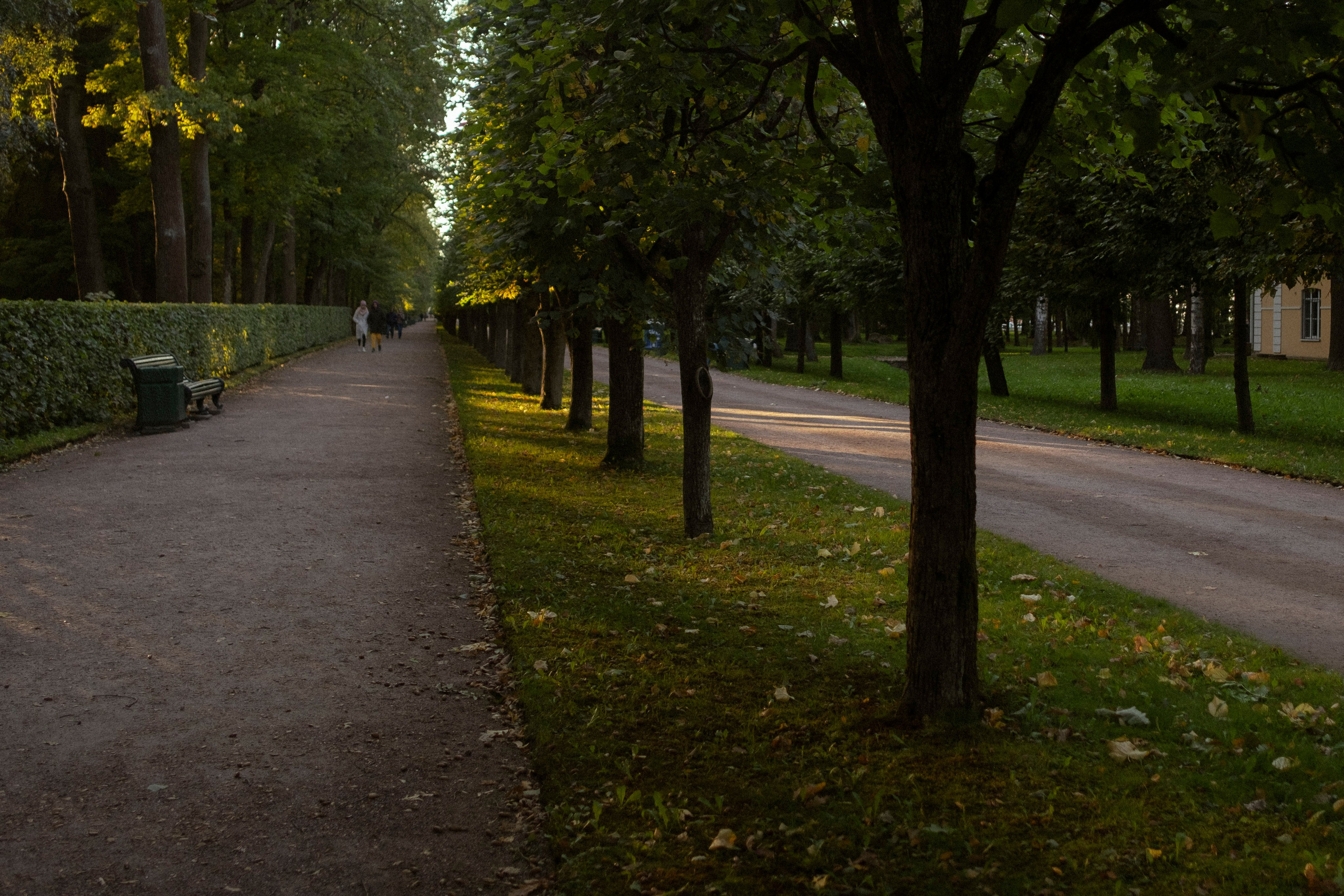 Питер, 2021. Портретный фотограф в Москве Евгения Яковенко