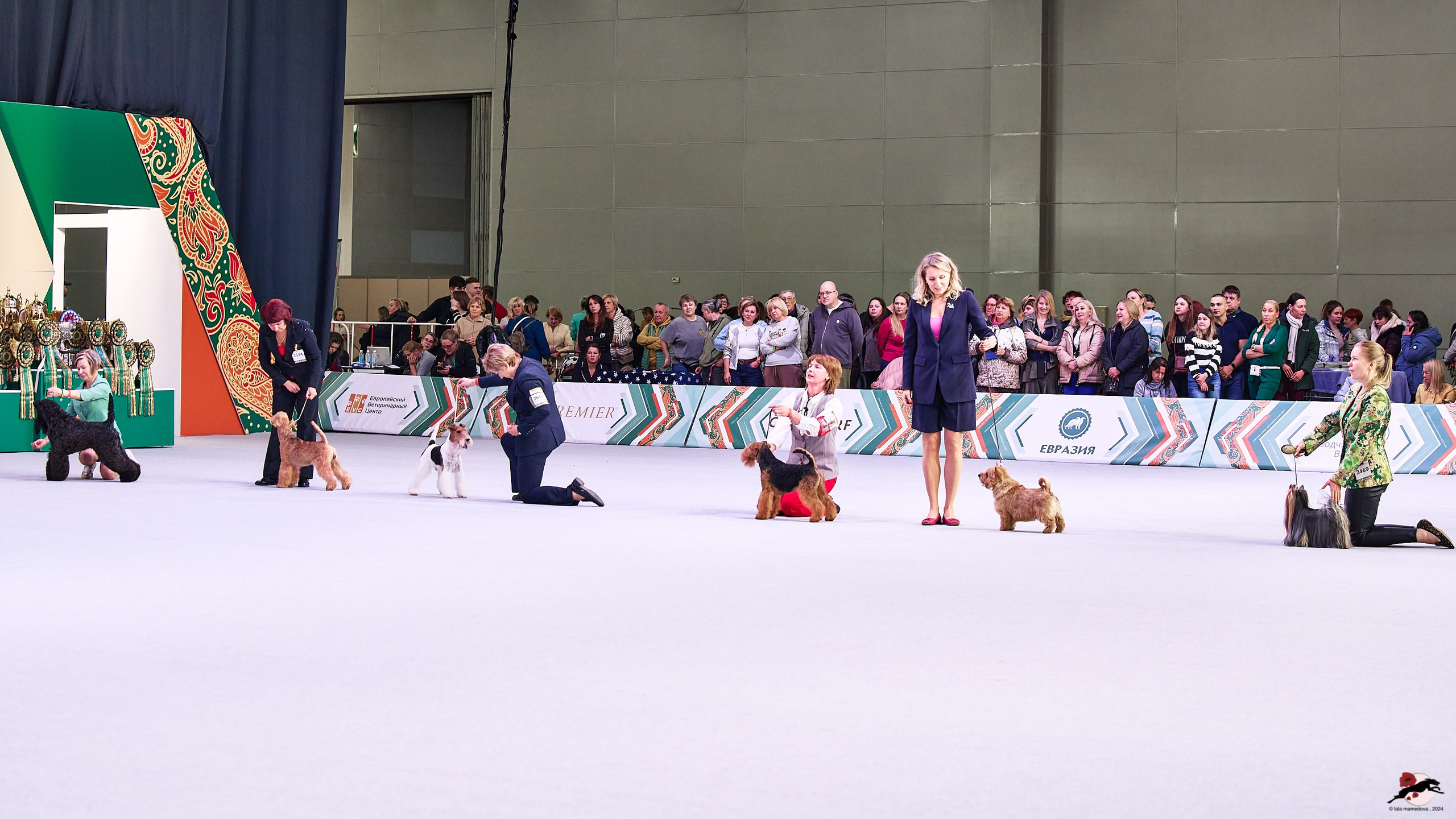 16.11.2024 «ЕВРАЗИЯ. КУБОК ПРЕЗИДЕНТА РКФ 2024»