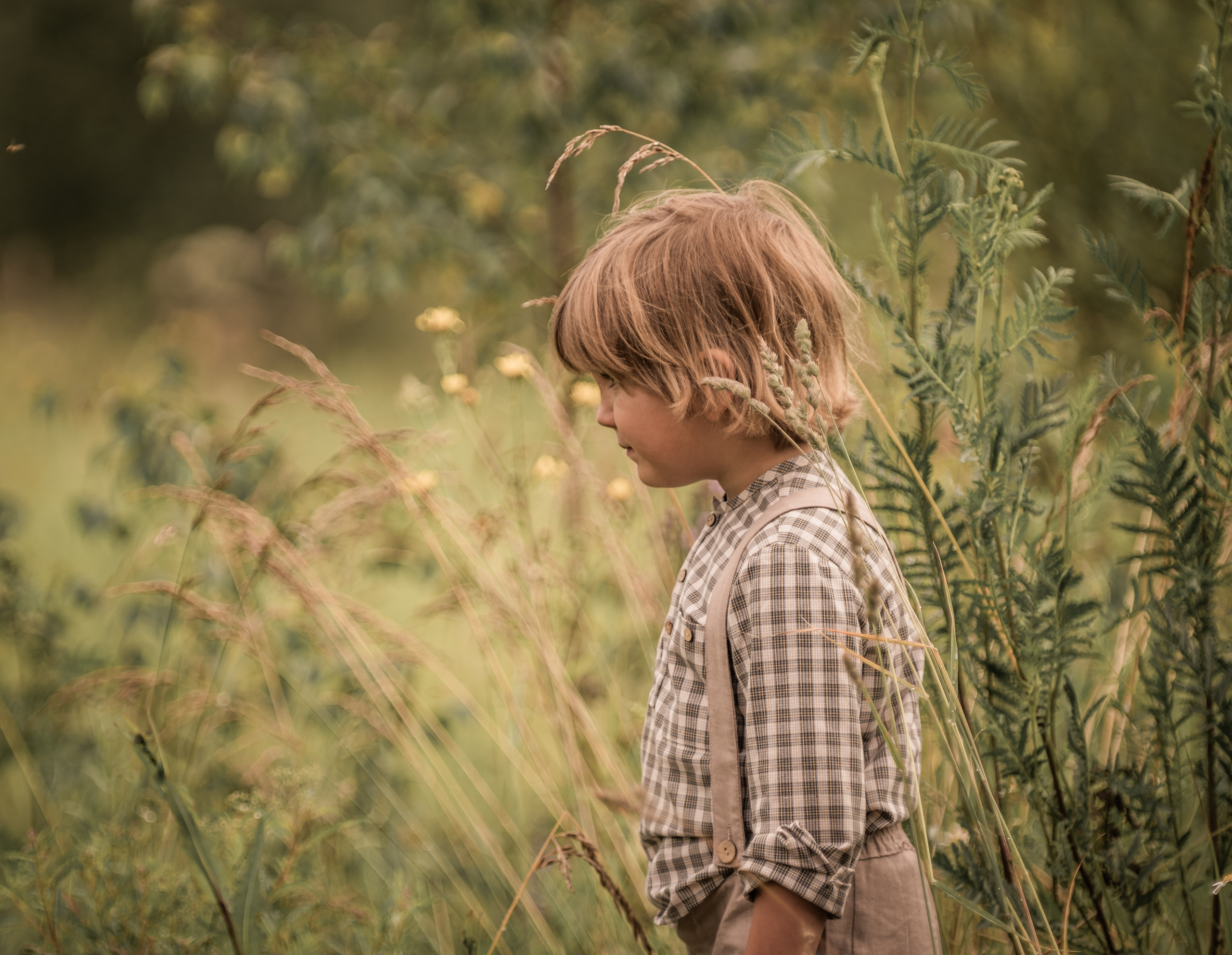 Марфины ромашки (год спустя). Семейный фотограф Ефремова Виктория