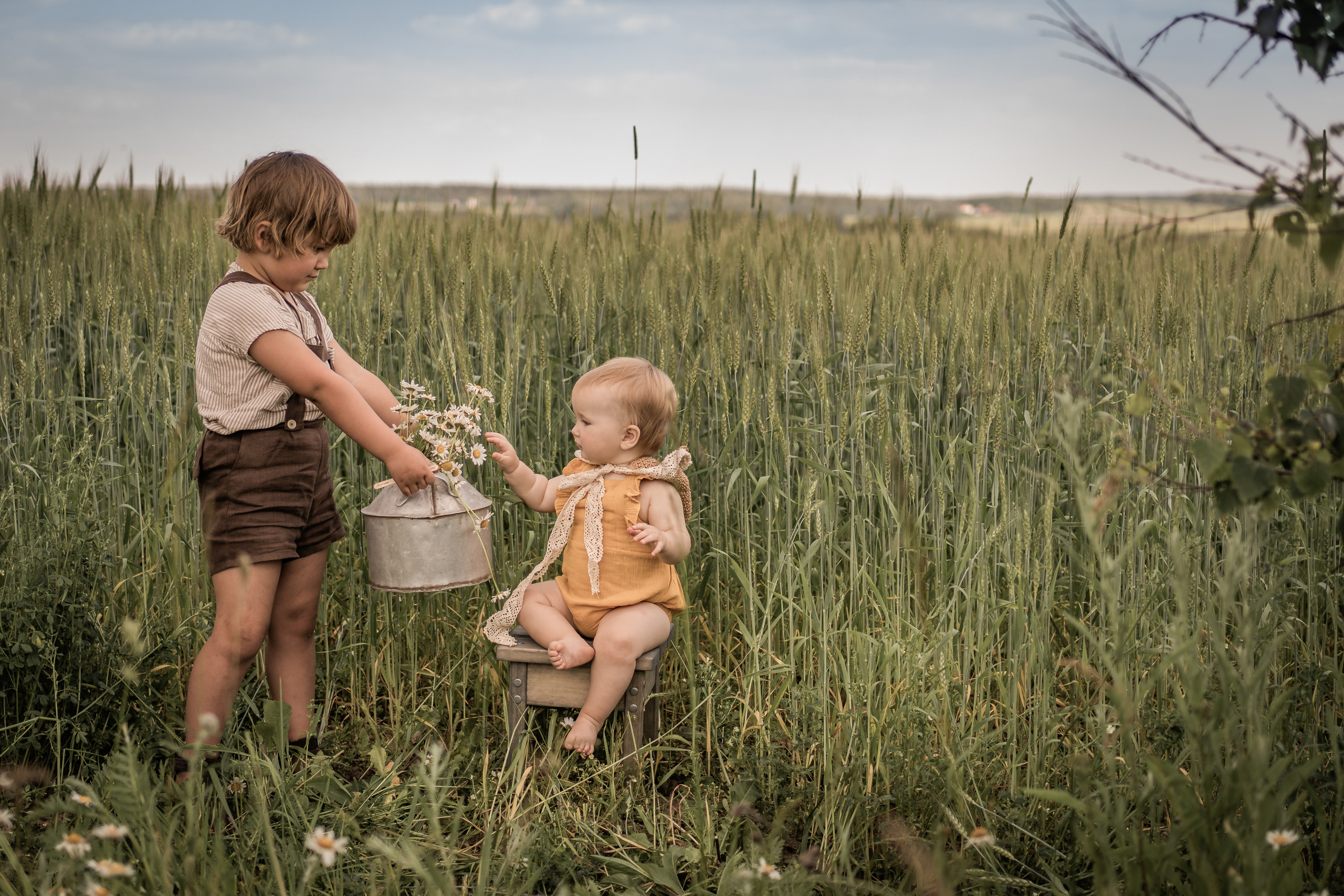 Марфины ромашки (год спустя). Семейный фотограф Ефремова Виктория