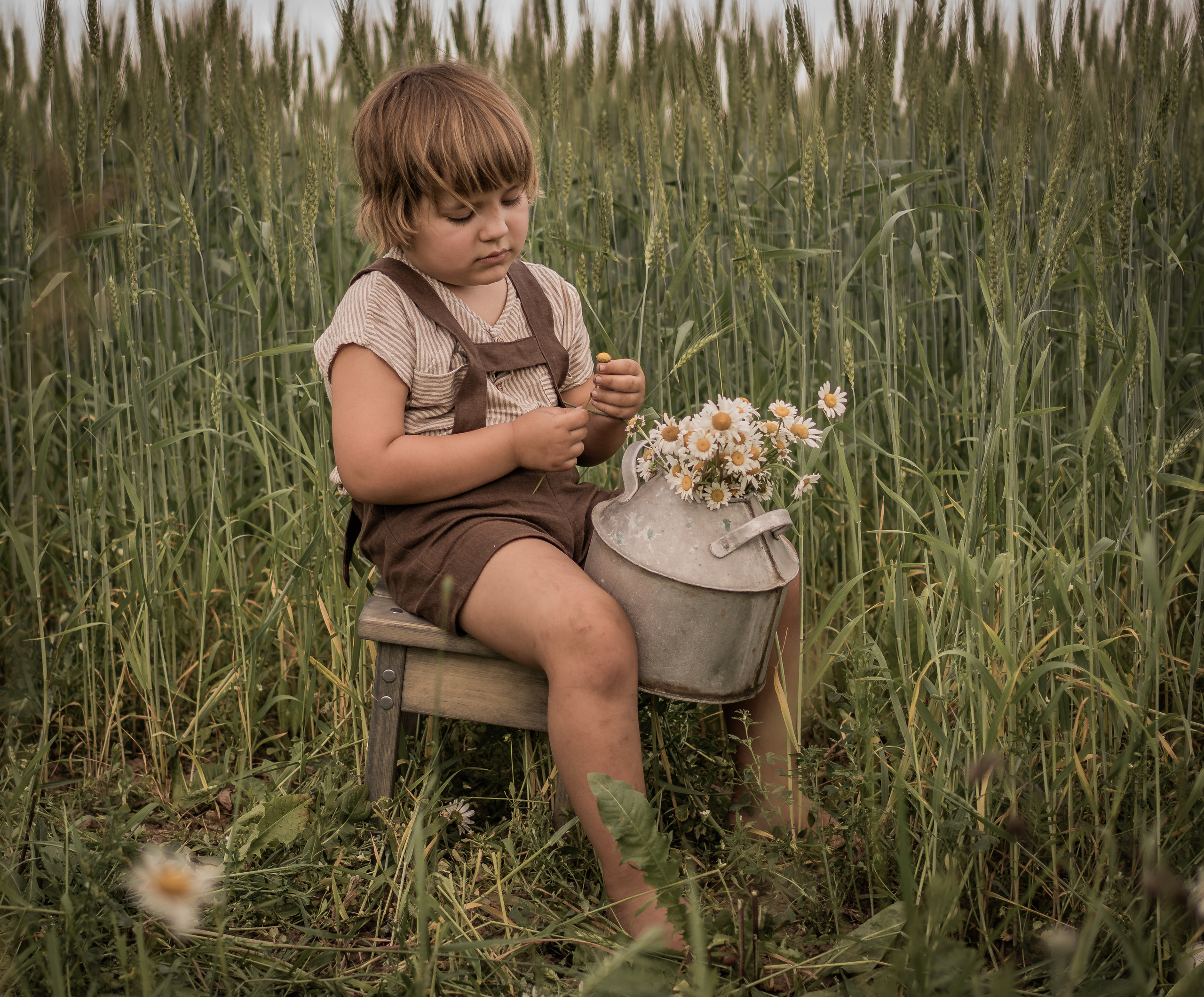 Марфины ромашки (год спустя). Семейный фотограф Ефремова Виктория