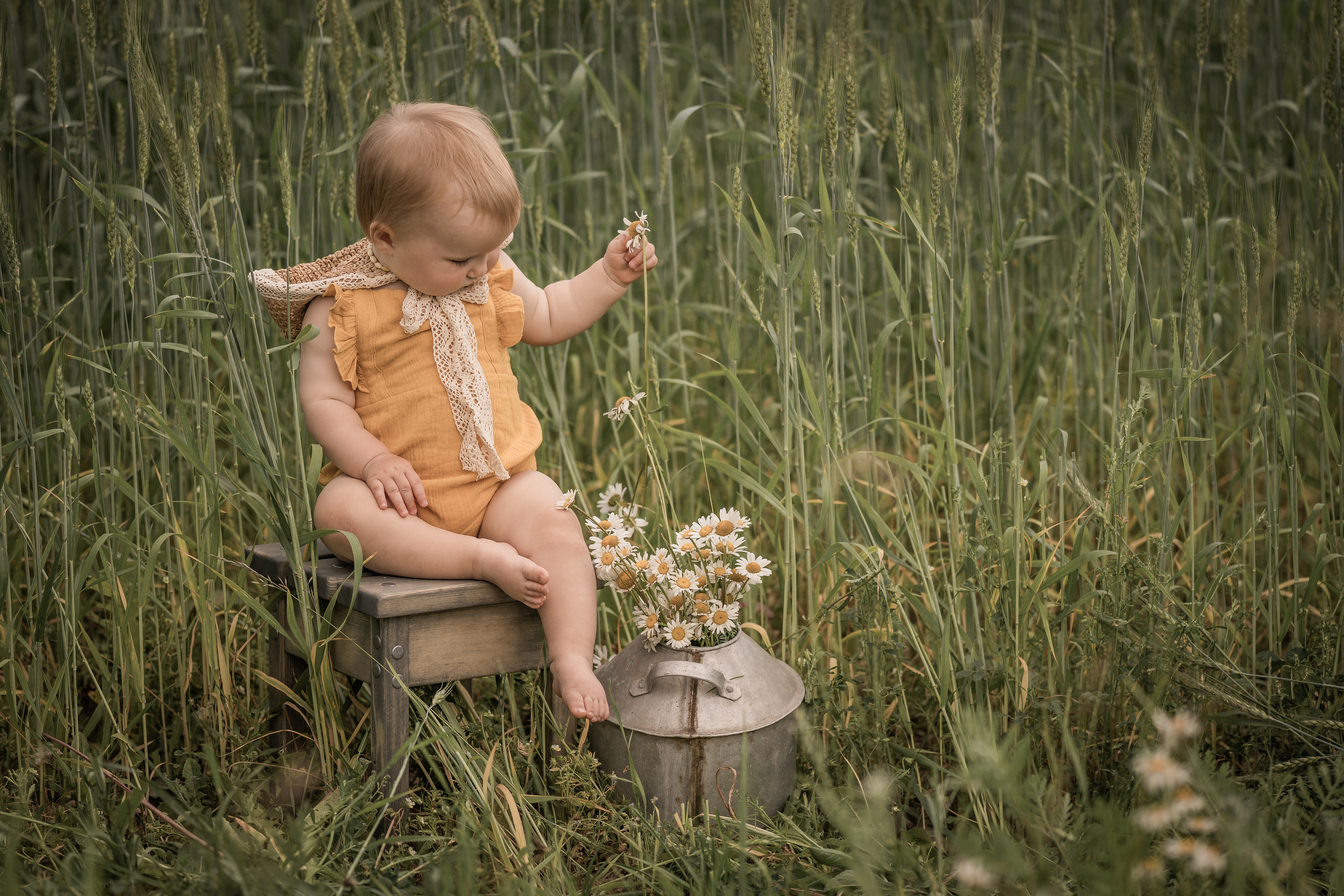 Марфины ромашки (год спустя). Семейный фотограф Ефремова Виктория