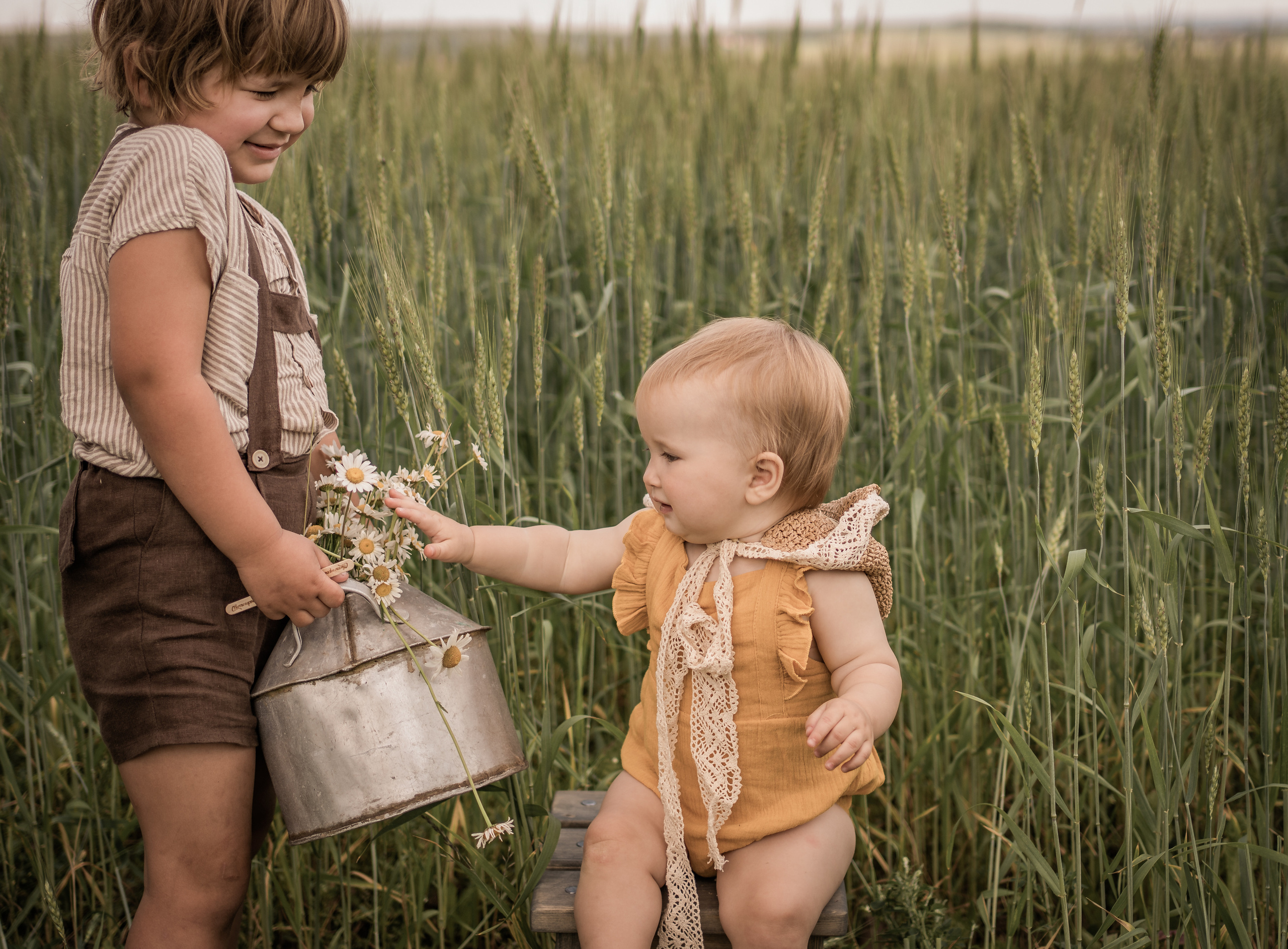 Марфины ромашки (год спустя). Семейный фотограф Ефремова Виктория