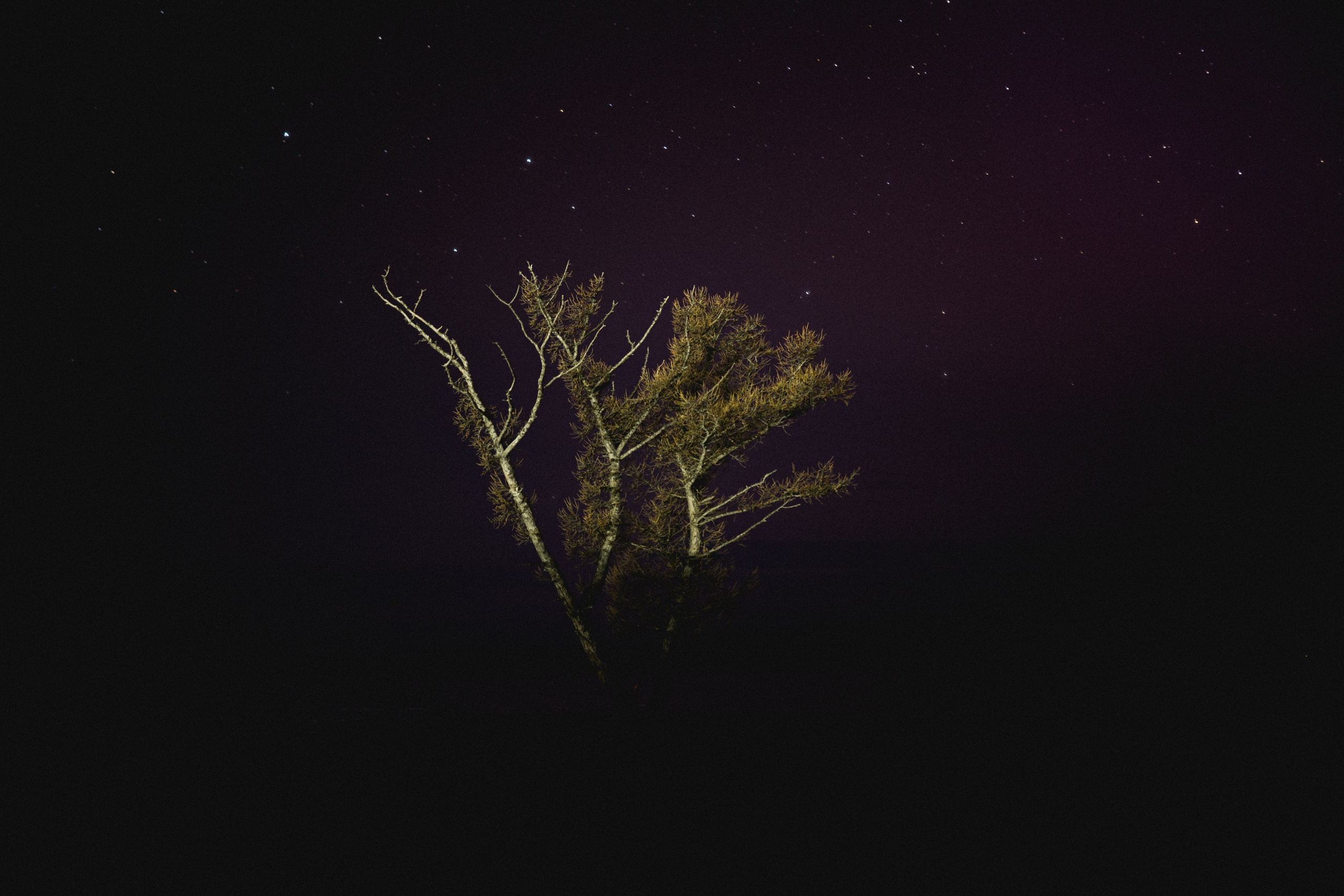 Фотографии. Фотограф Иркутск