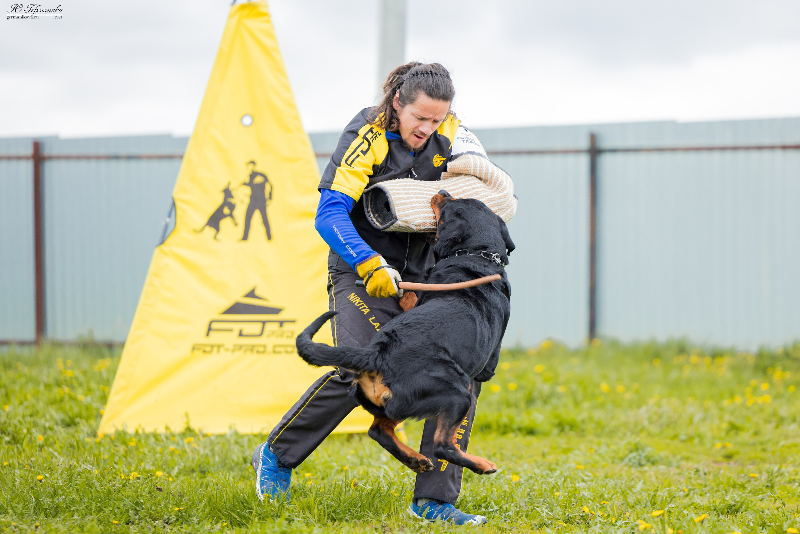 Нижний Новгород 11-12.05.2024 моно ротвейлеров. Фотограф-анималист Юлия Германика