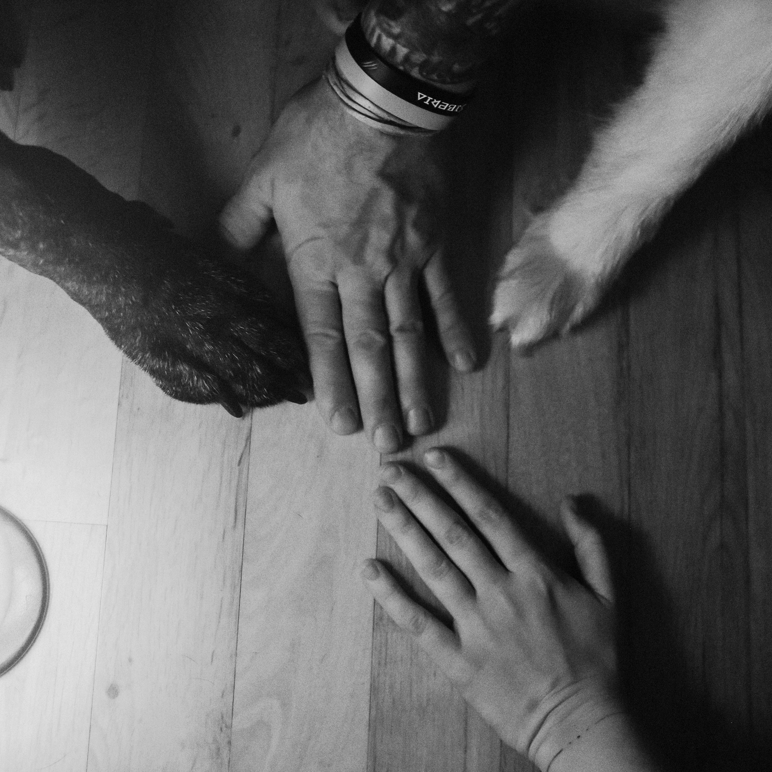 Вдвоем + 2. Фотограф Кемерово