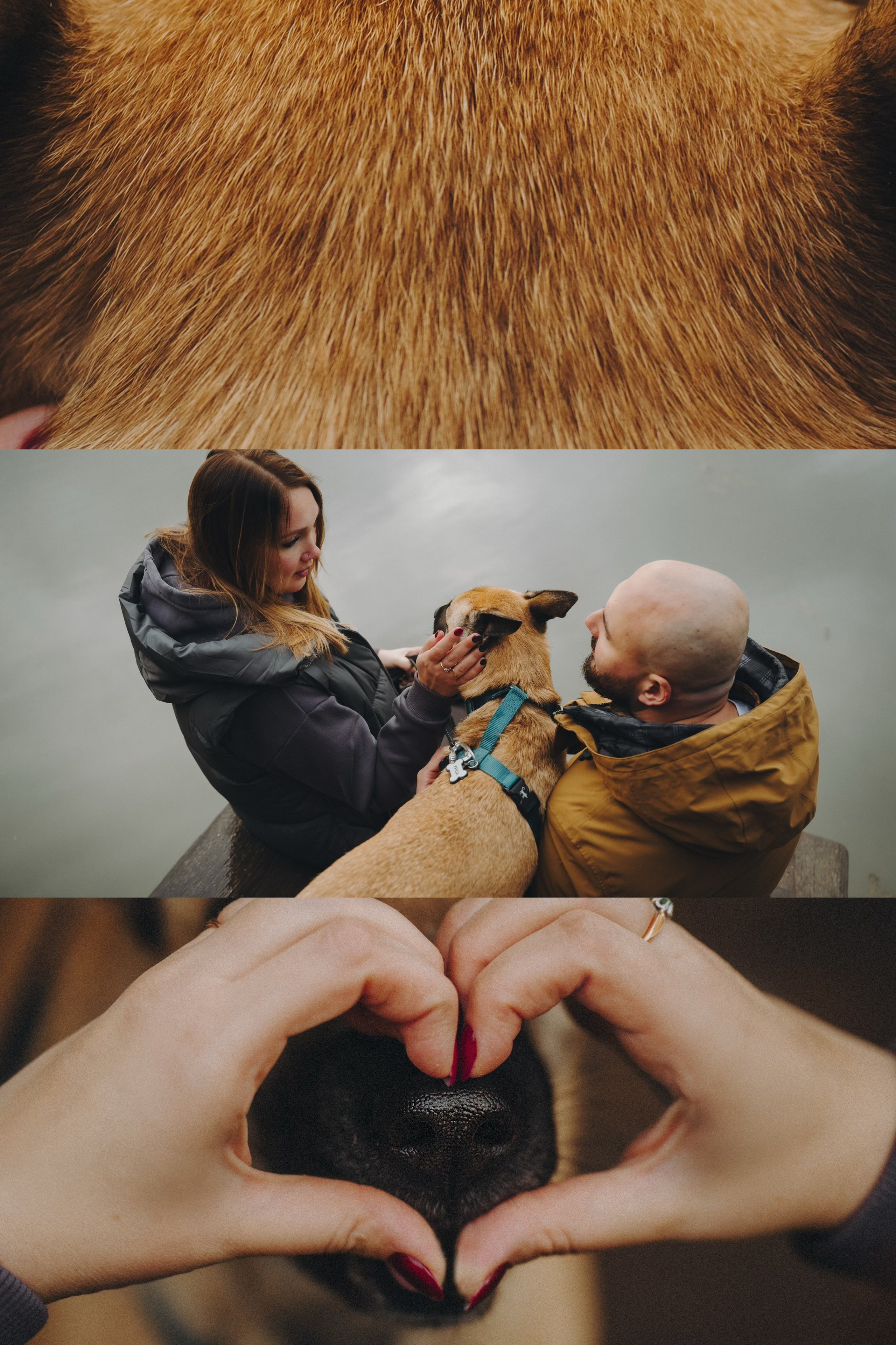 Наталия, Иван и Урса. Фотограф анималист в Москве и Санкт-Петербурге Свиридова Анна