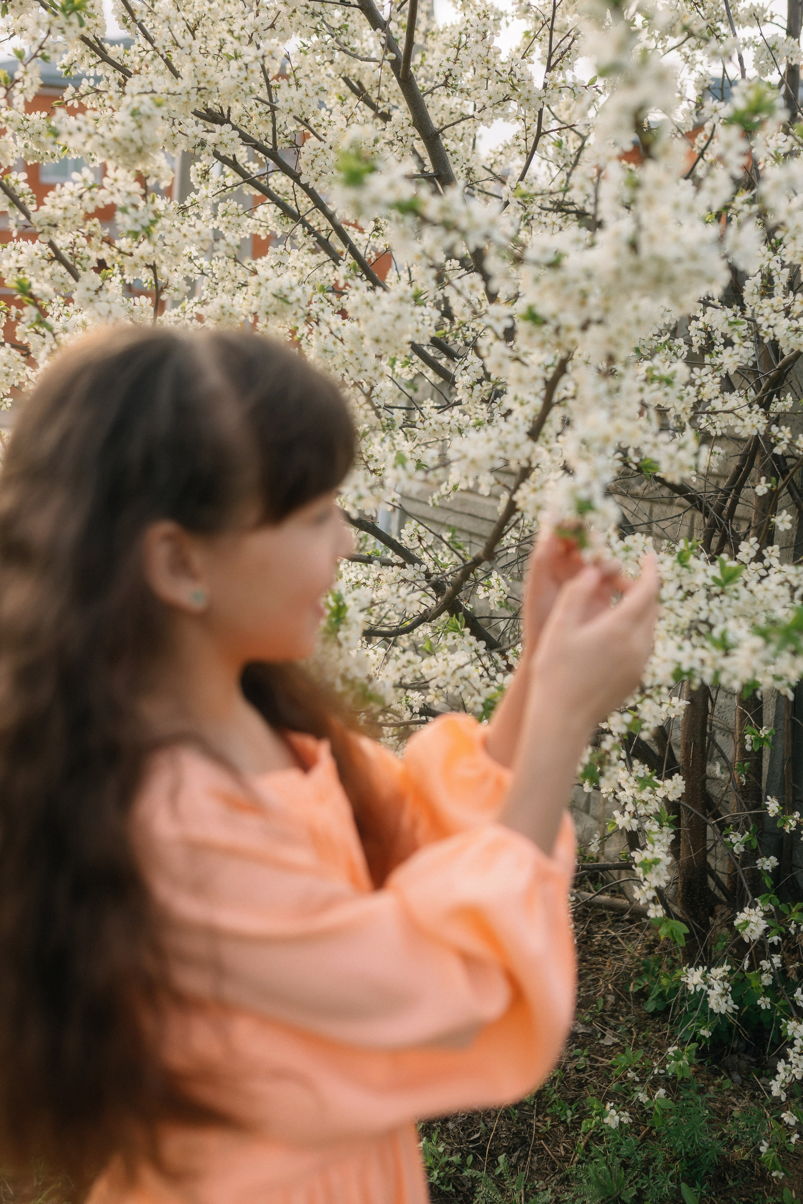 Цветение. Детский и семейный фотограф г. Чебоксары Оля Горбунова