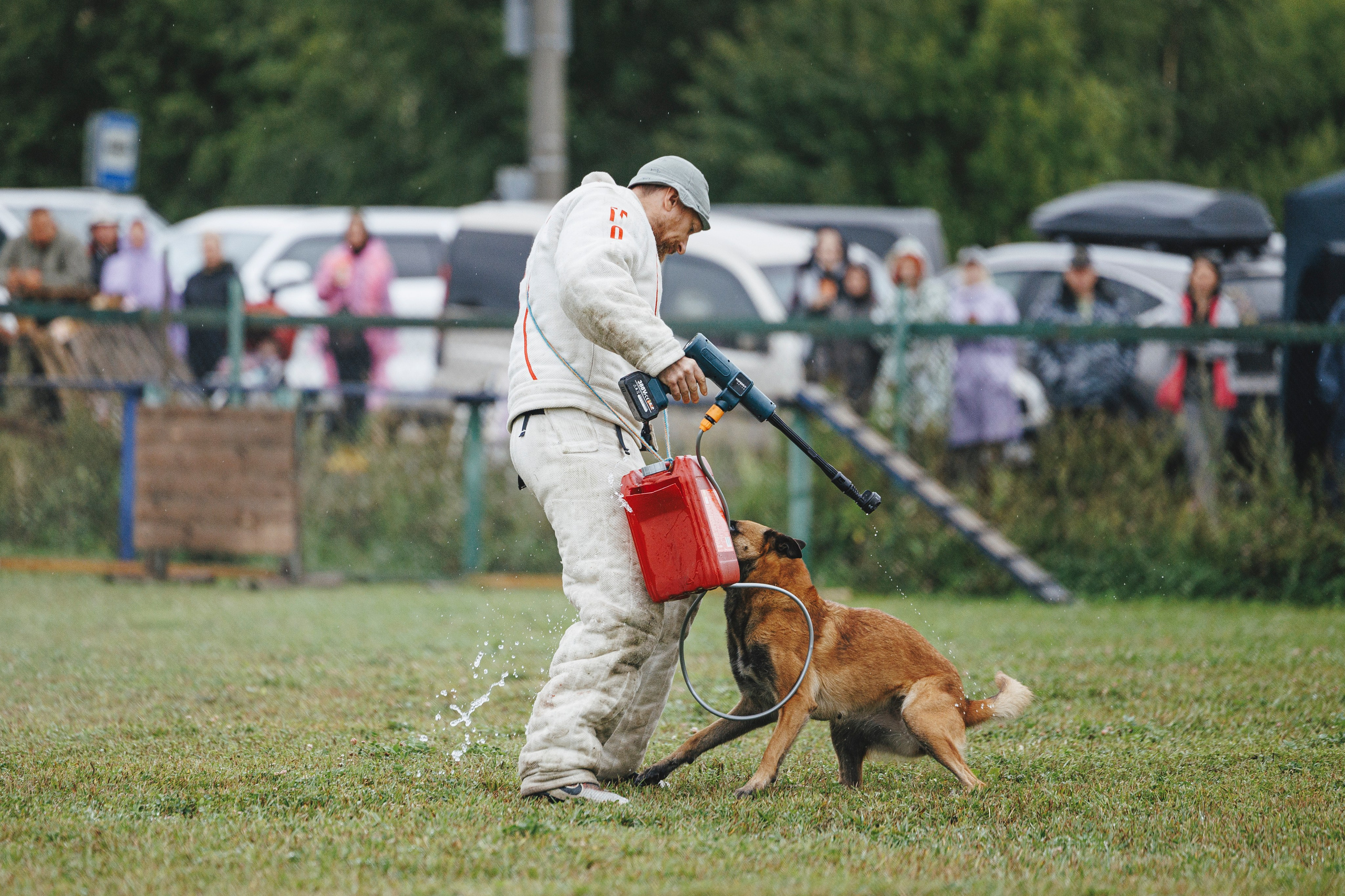 08.08.25-10.08.25 ЧР по мондьорингу г. Вологда. Фотограф-анималист Анна Маринич