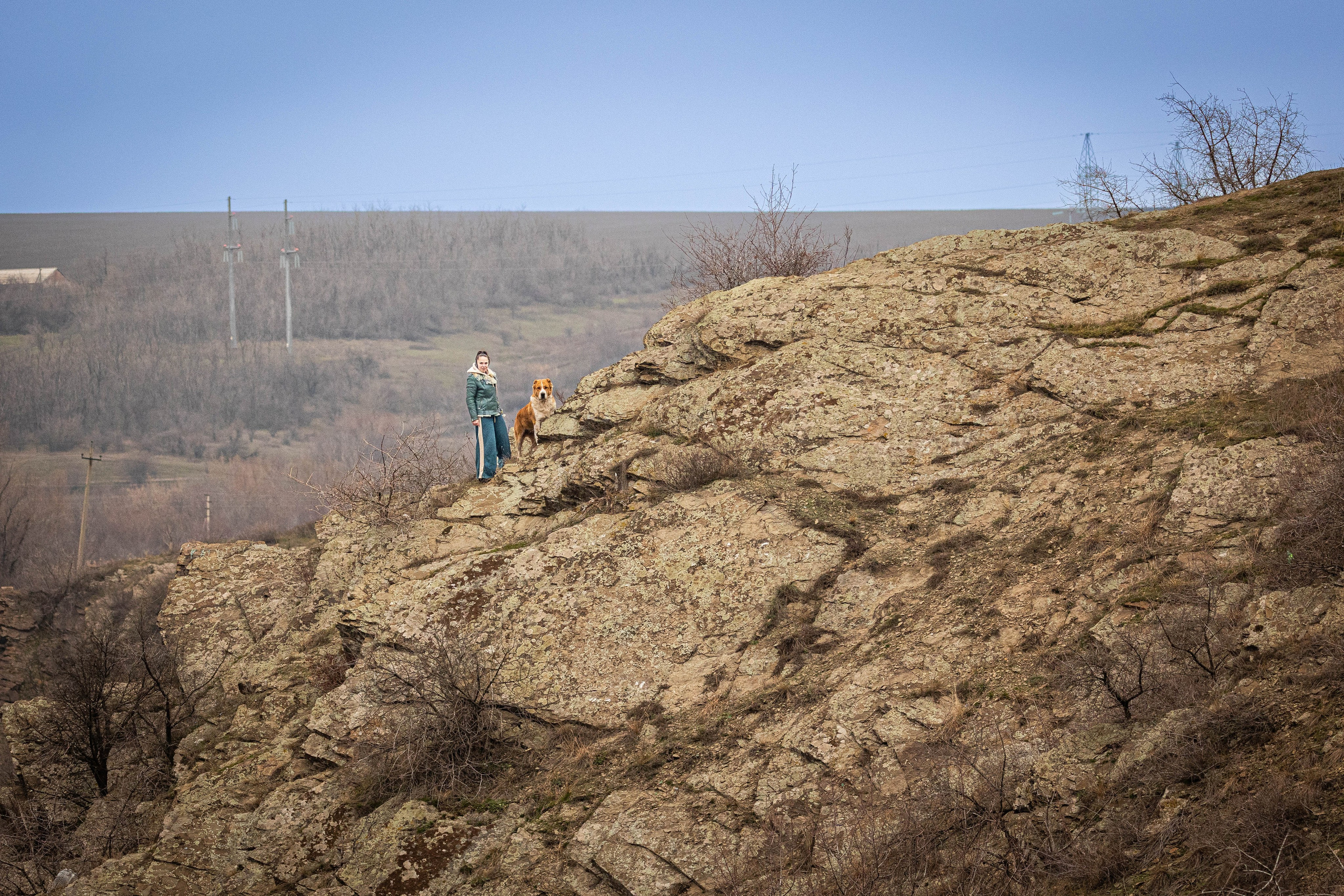 Пальма. Фотограф-АниМалист Анна Абрамова