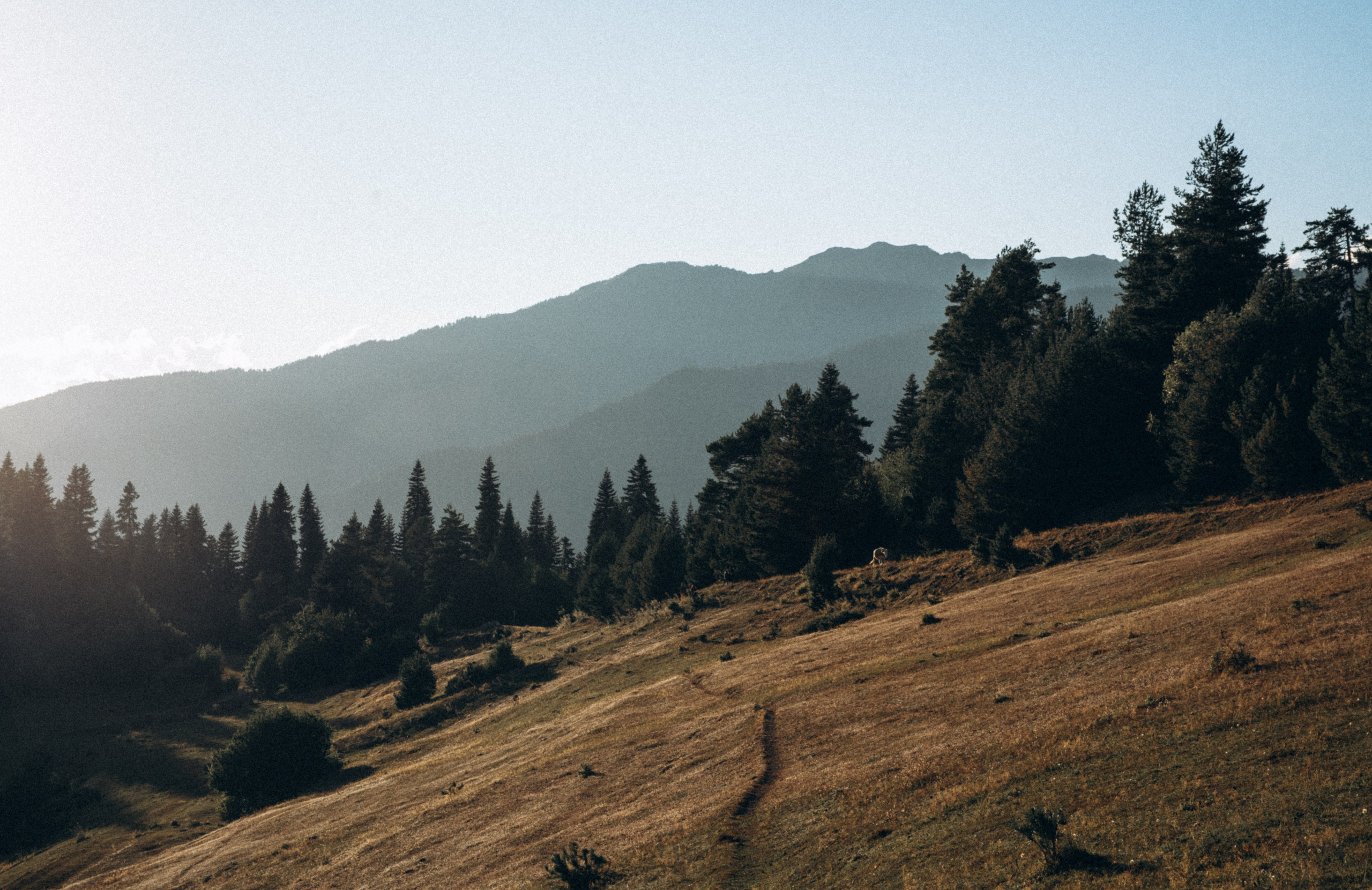 Сванетия, Грузия 🇬🇪. Anita_photo