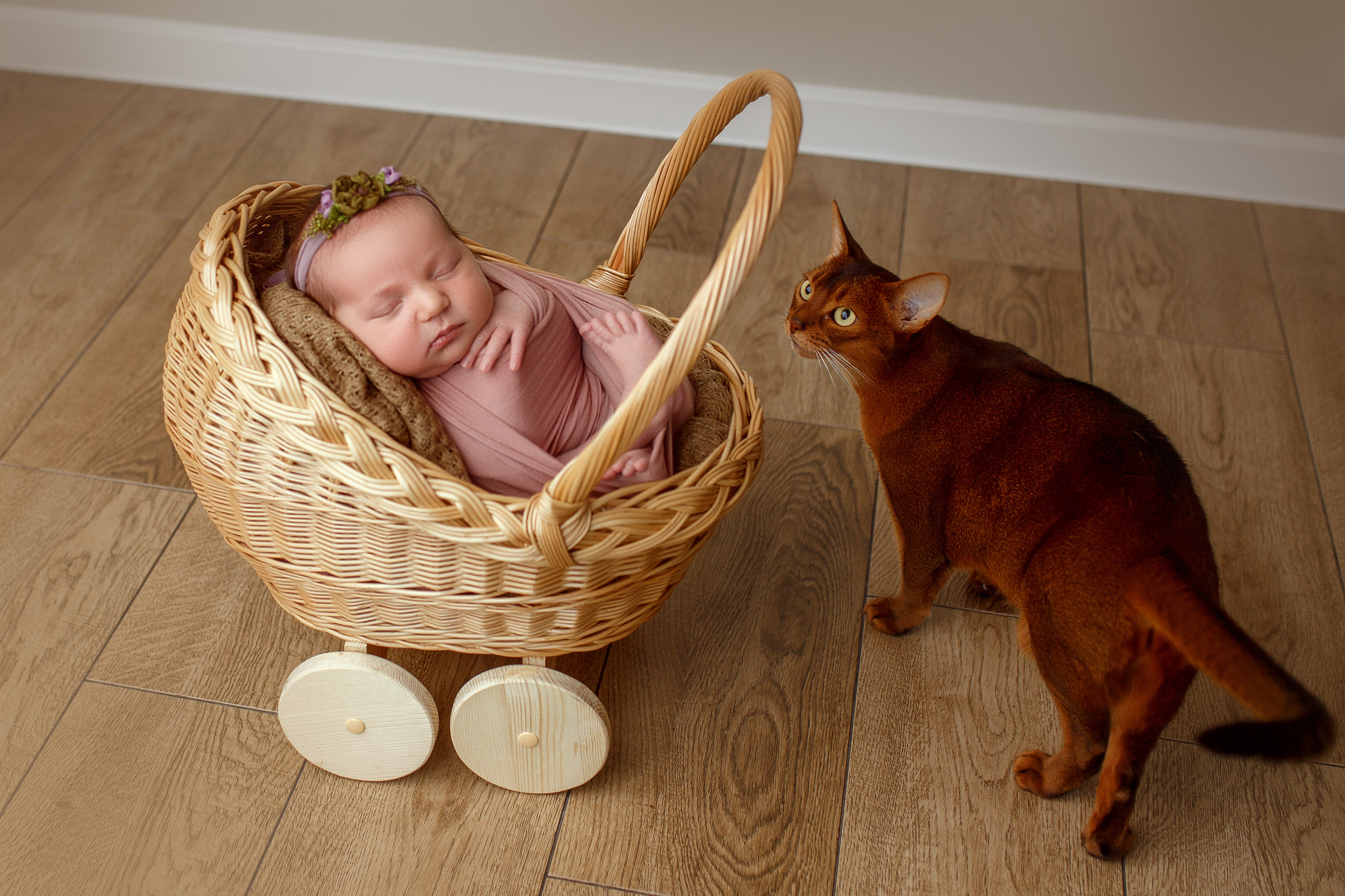 Новорожденные. Детский фотограф и фотограф новорожденных в Воронеже Наташа Алехина