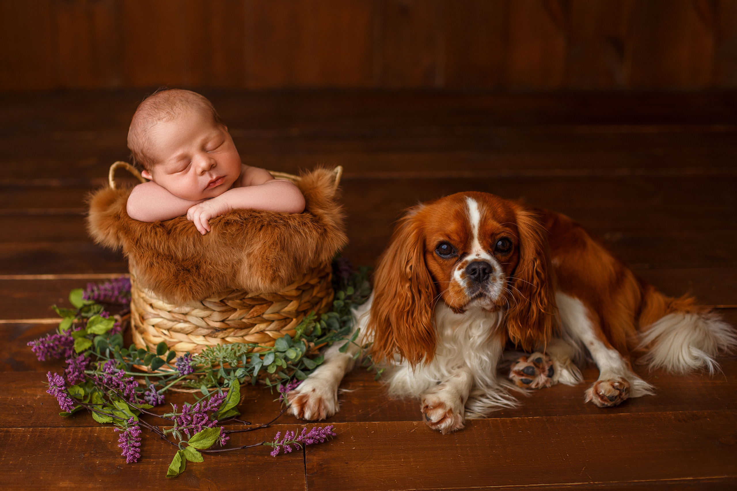 Детский фотограф и фотограф новорожденных в Воронеже Наташа Алехина