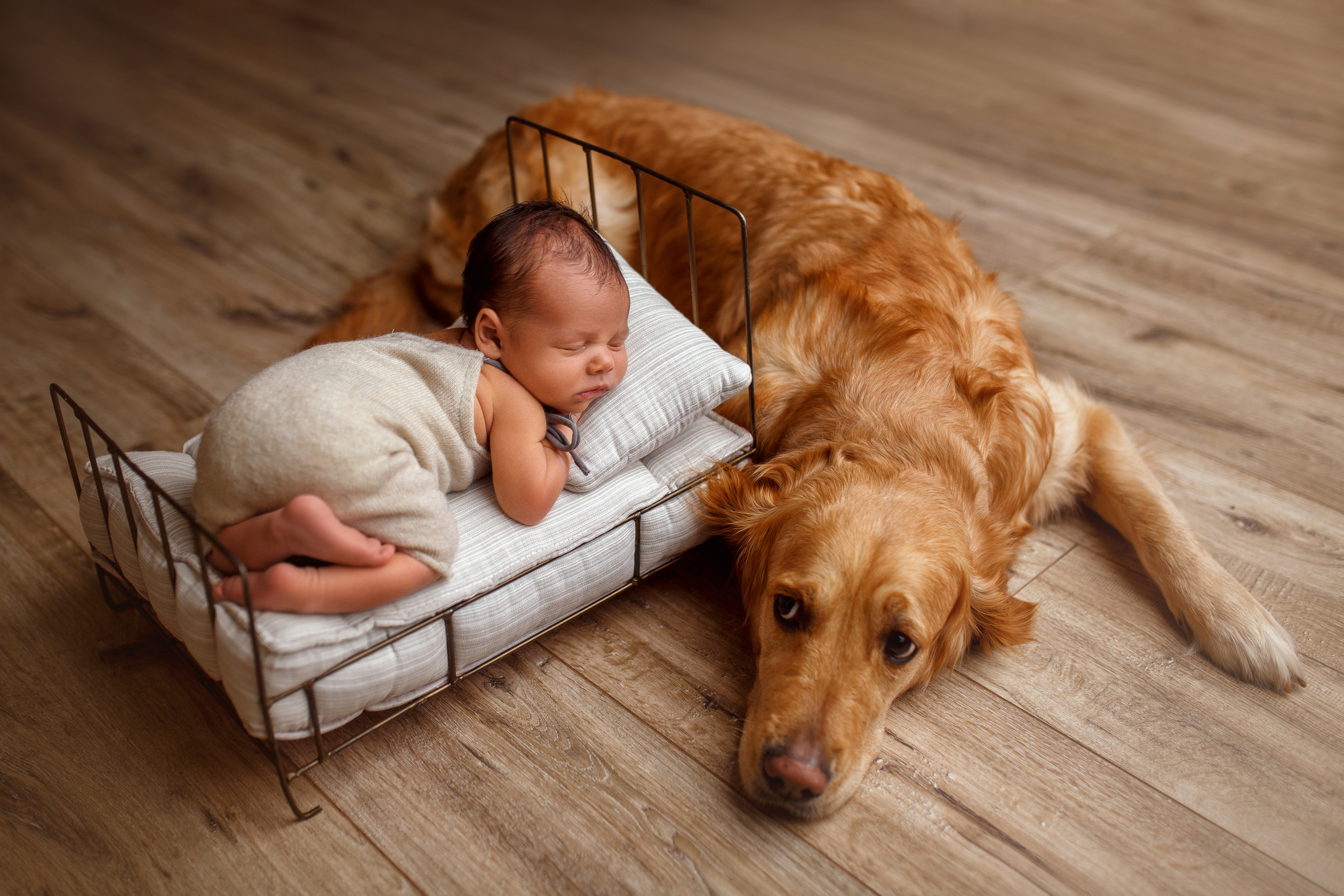 Детский фотограф и фотограф новорожденных в Воронеже Наташа Алехина