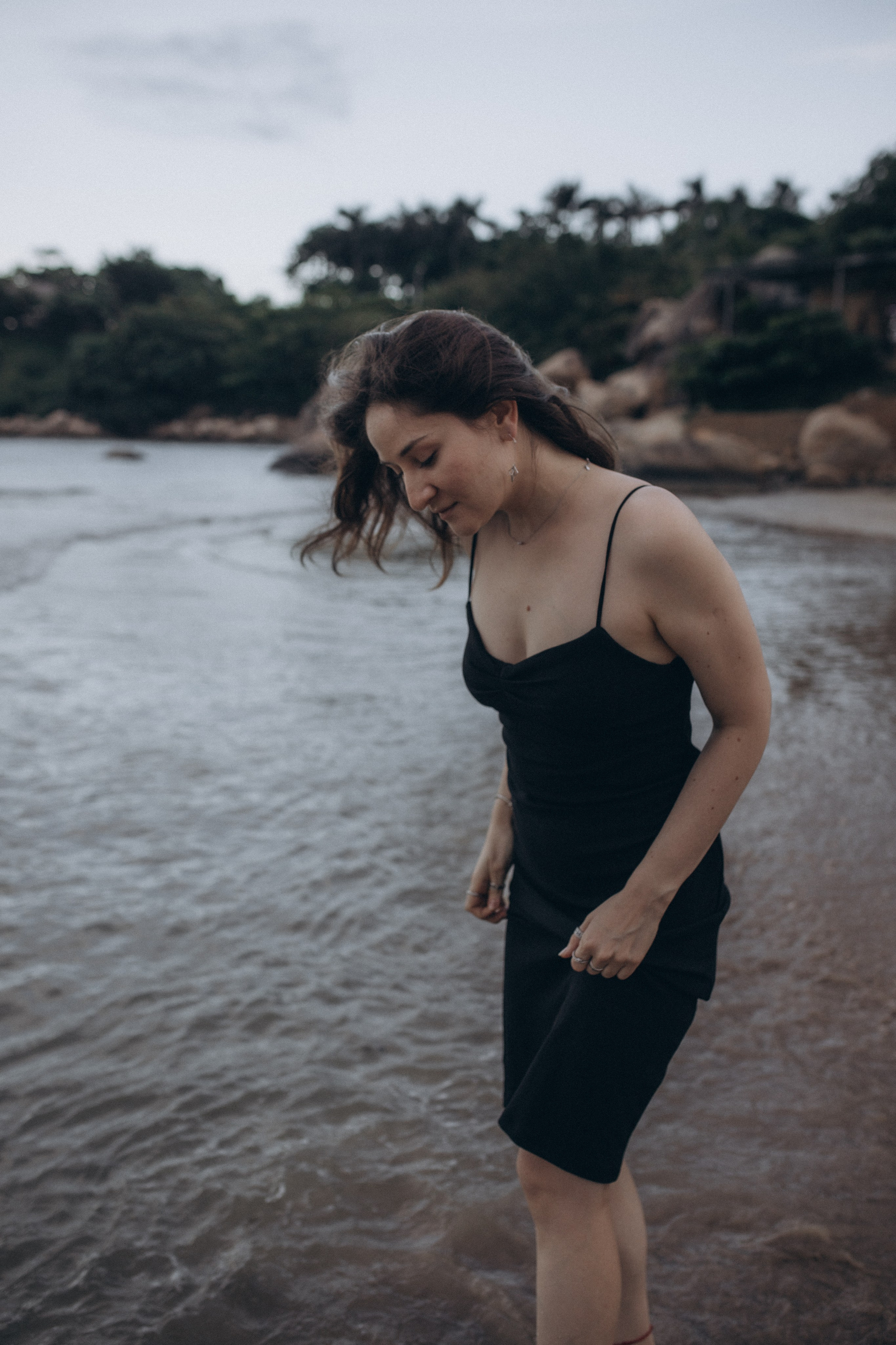 Лилия «сад камней» Вьетнам. Главная