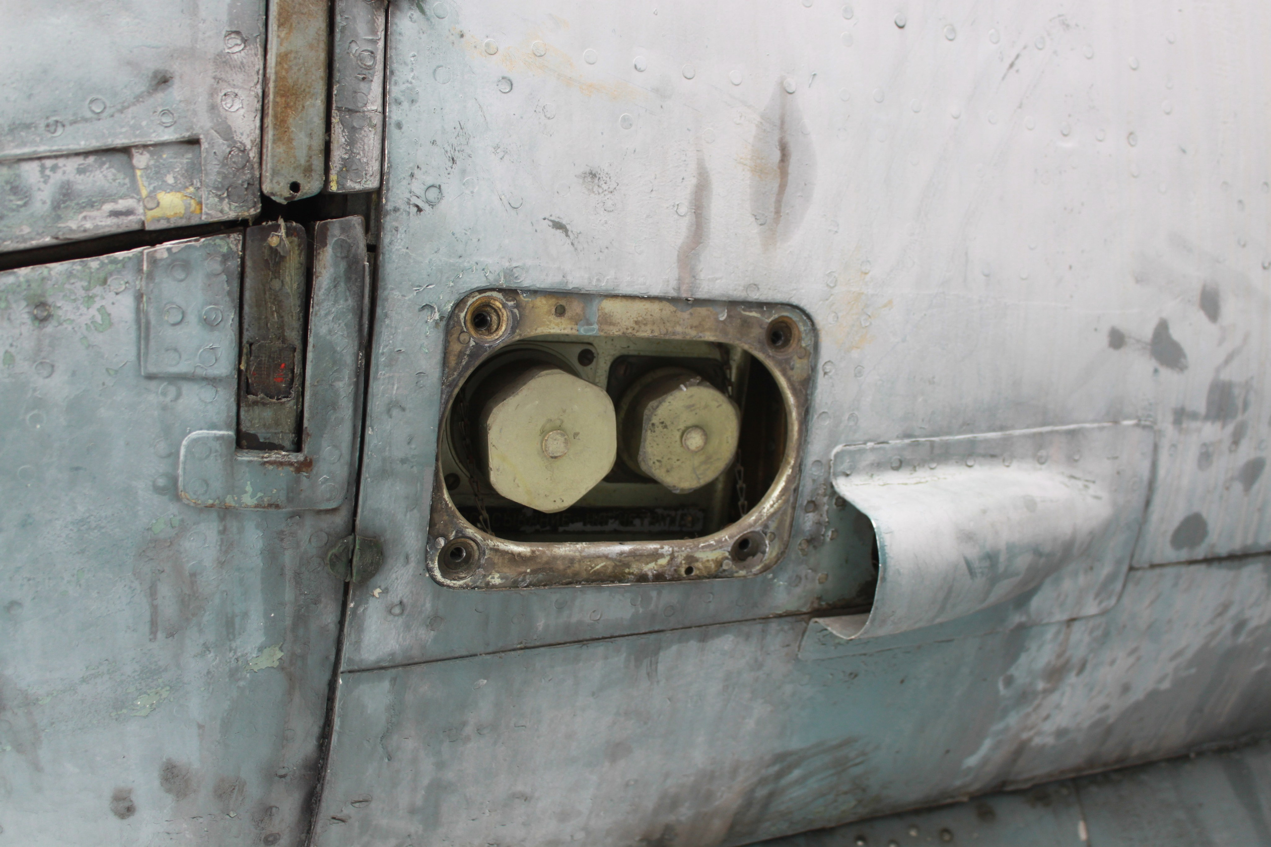 Ил-14Т «Голубая Мечта» работы в Тушино (2011 г.). Фотоальбом показывающий увлекательный мир авиации и мир медведей Андрея Иванова