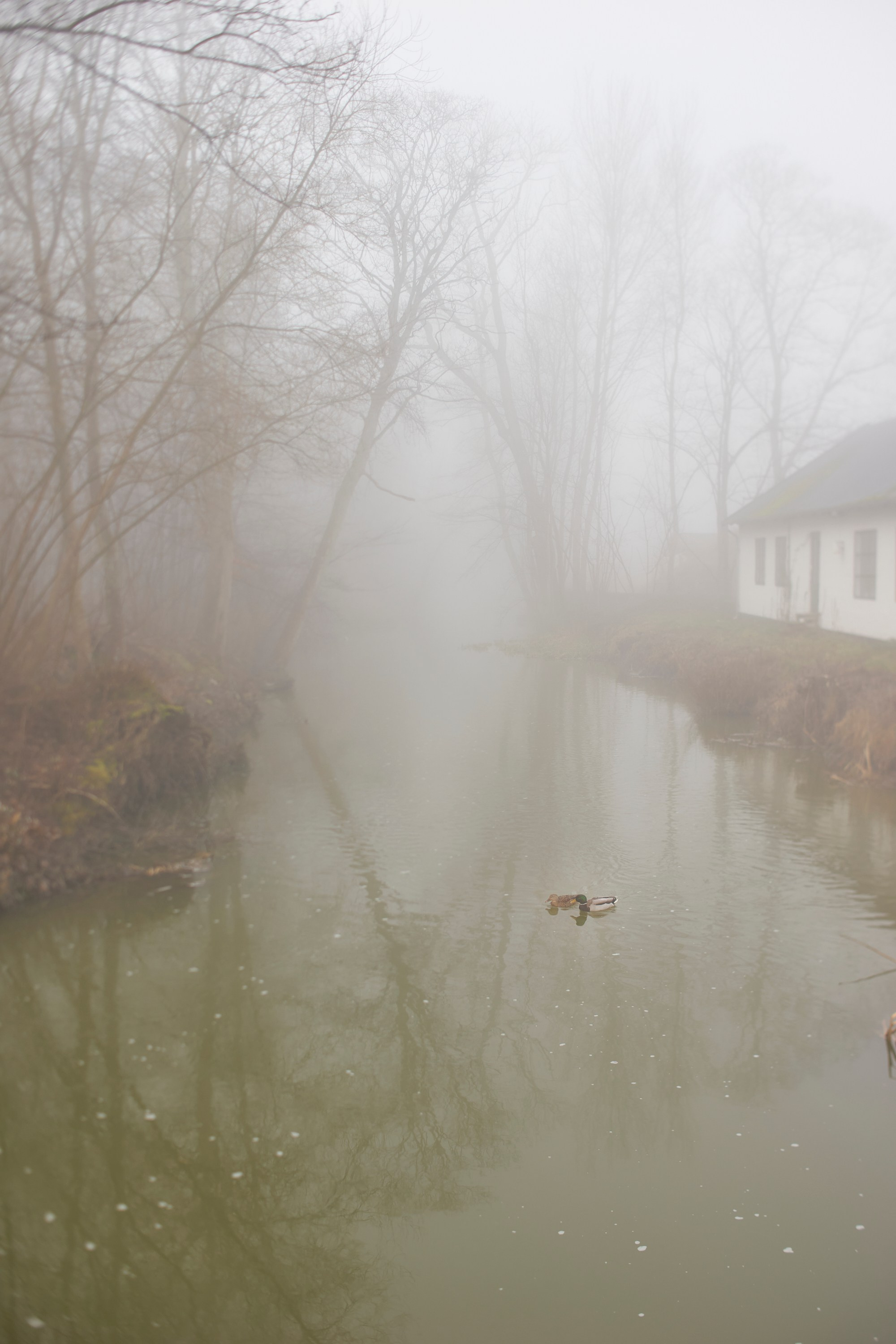 Frederiksværk i februar. Vutitsa