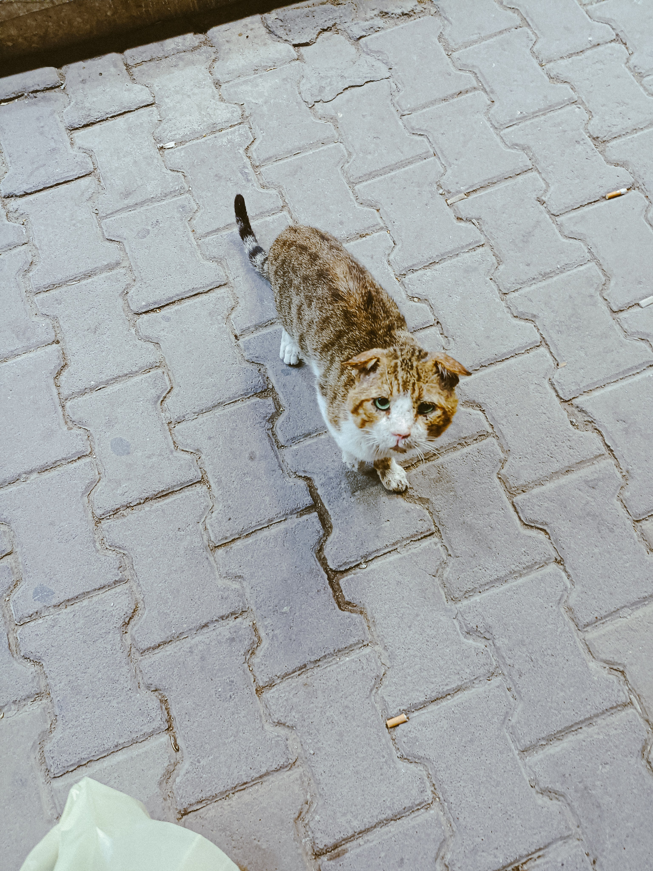 Мобильная. Jorgis — фотограф в Хургаде / обучение фотографии