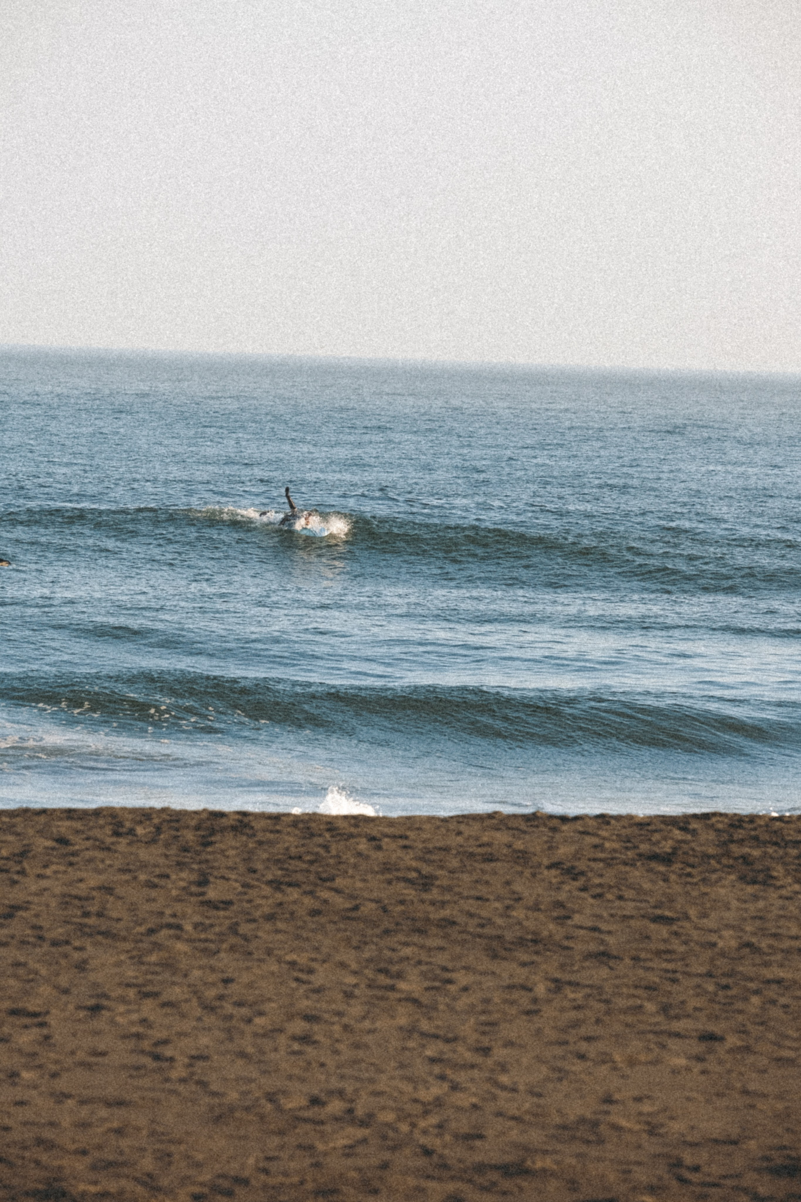 Тихий океан. Профессиональный фотограф, Санкт-Петербург — Виктория Богомолова