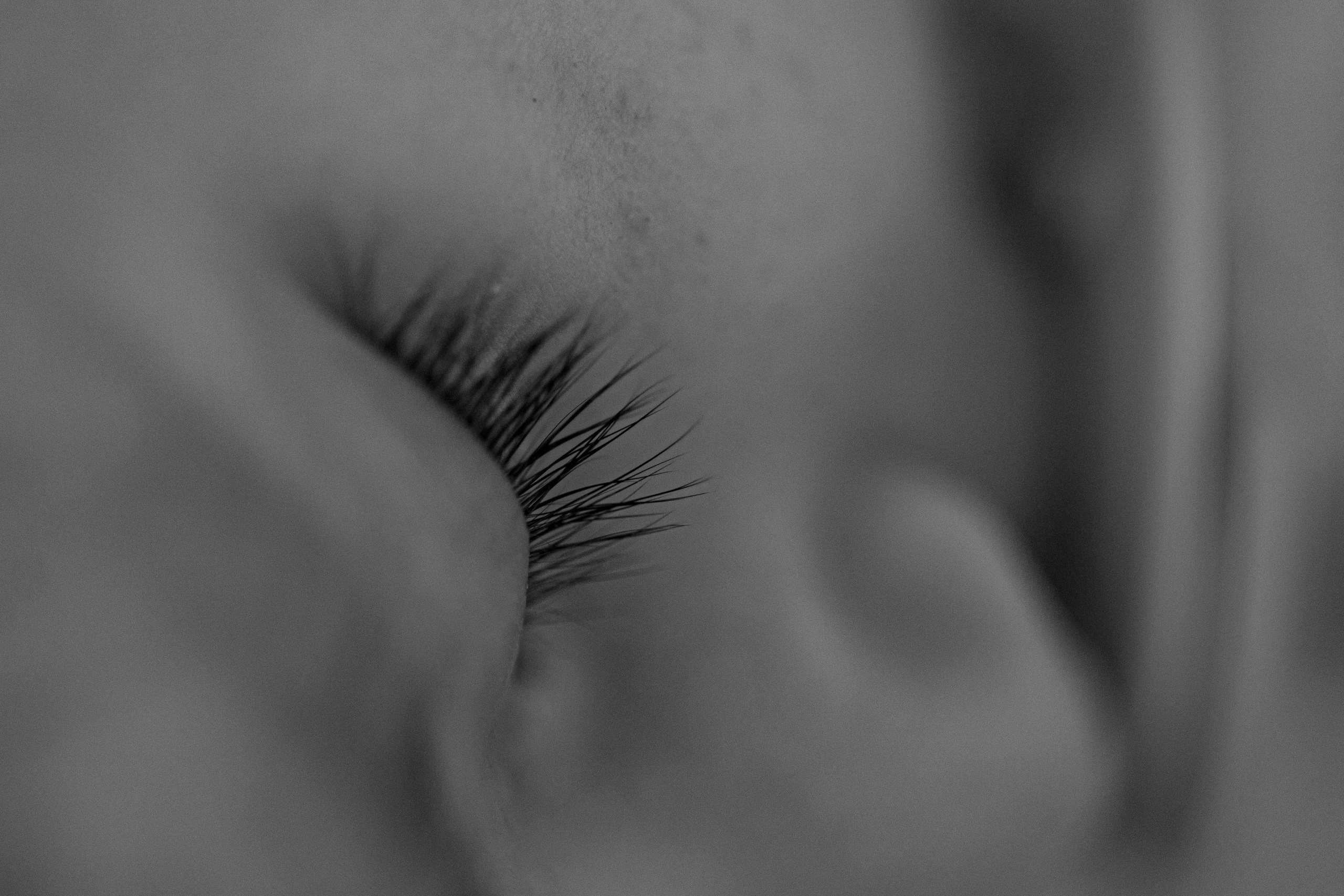 Артур, Лика, Давид. Фотограф беременности и материнства в Москве Мария Менендес-Гонсалес