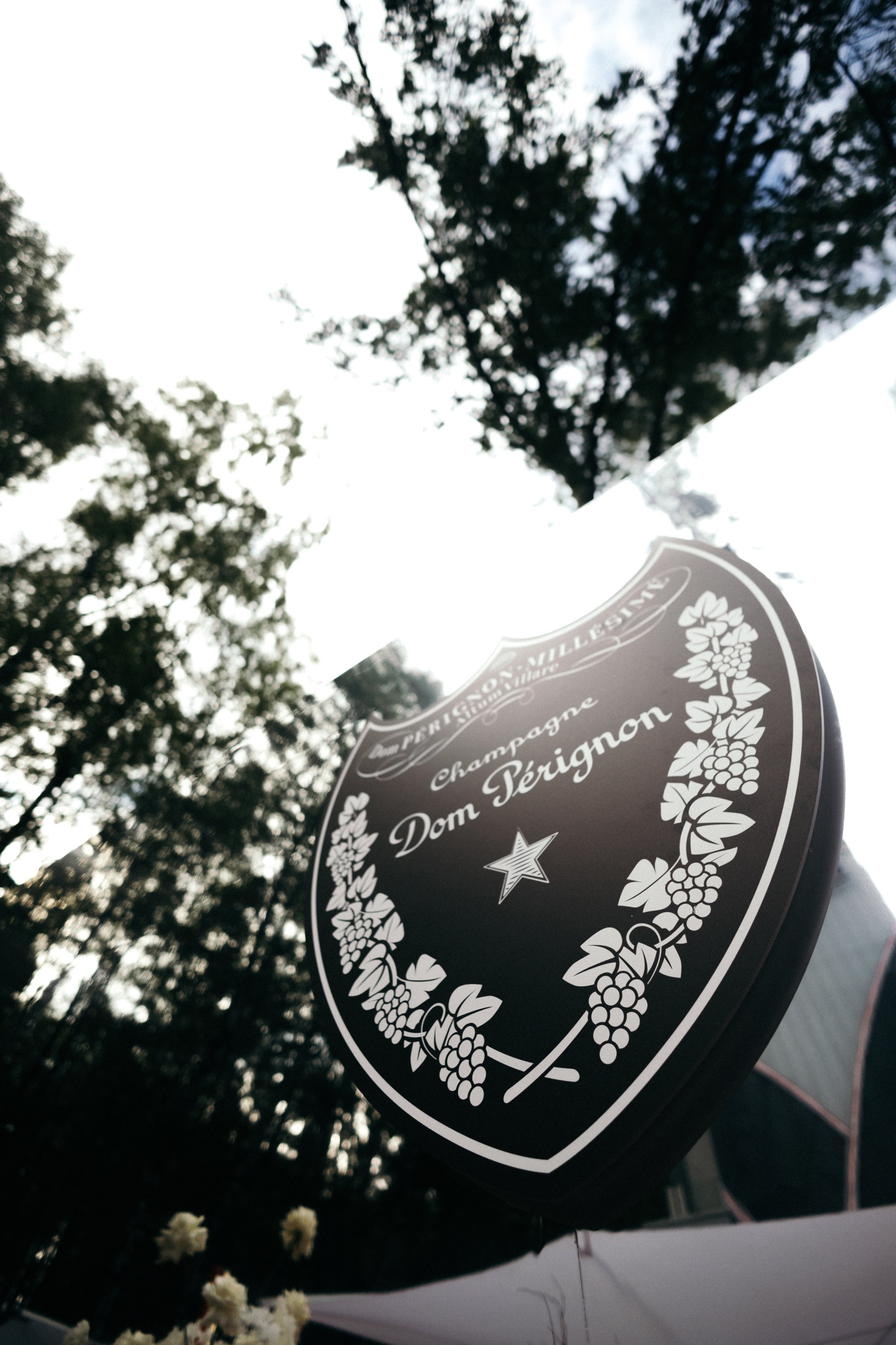 ALFA BANK | SPIEF 2025. Репортажный фотограф в Санкт-Петербурге Александр Паклин